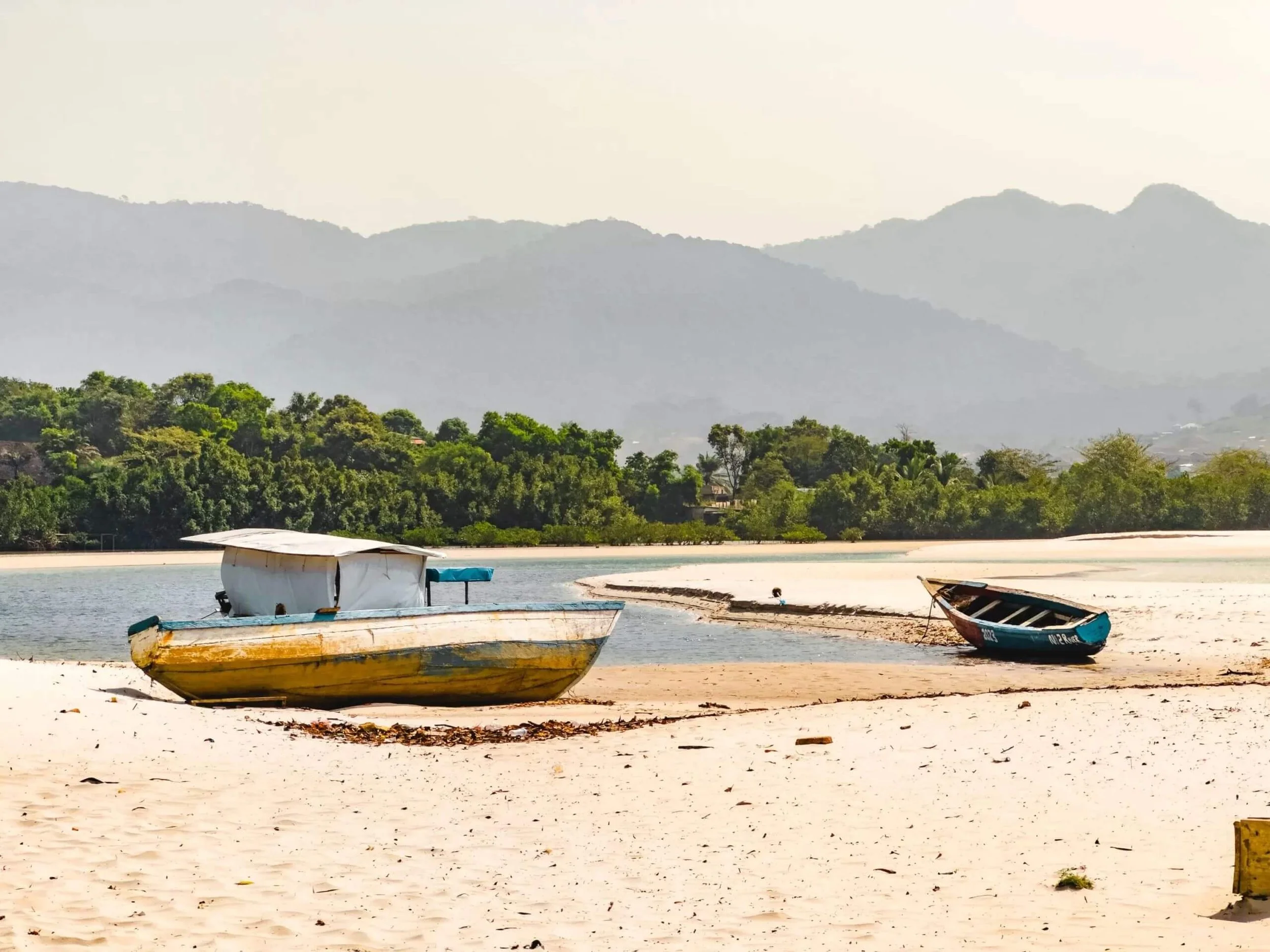 Untitled design (12) (1).jpg