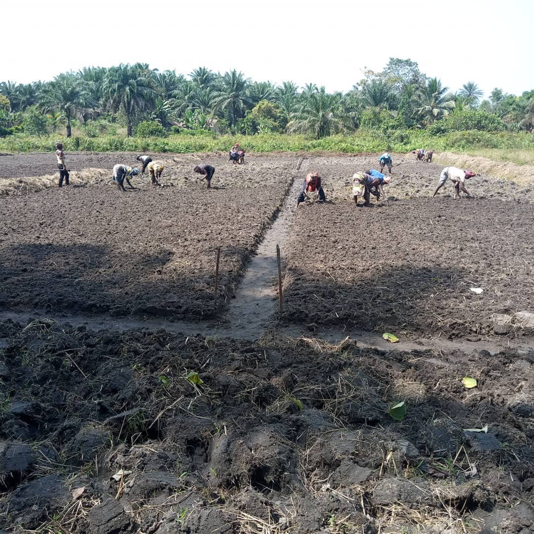 Dry Season (4th Season)