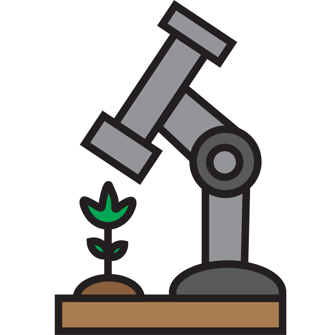 Njala University Cropping Experiment 2024