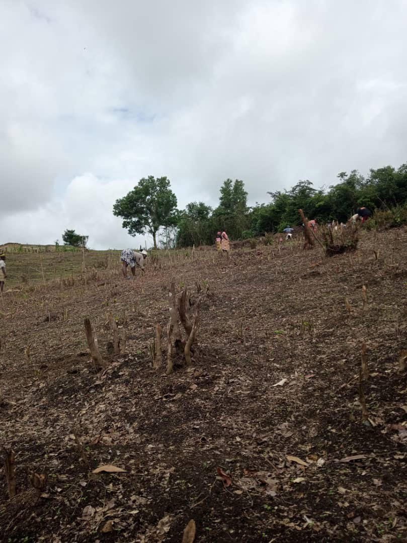 FBO Women planting on their own one-acre farm