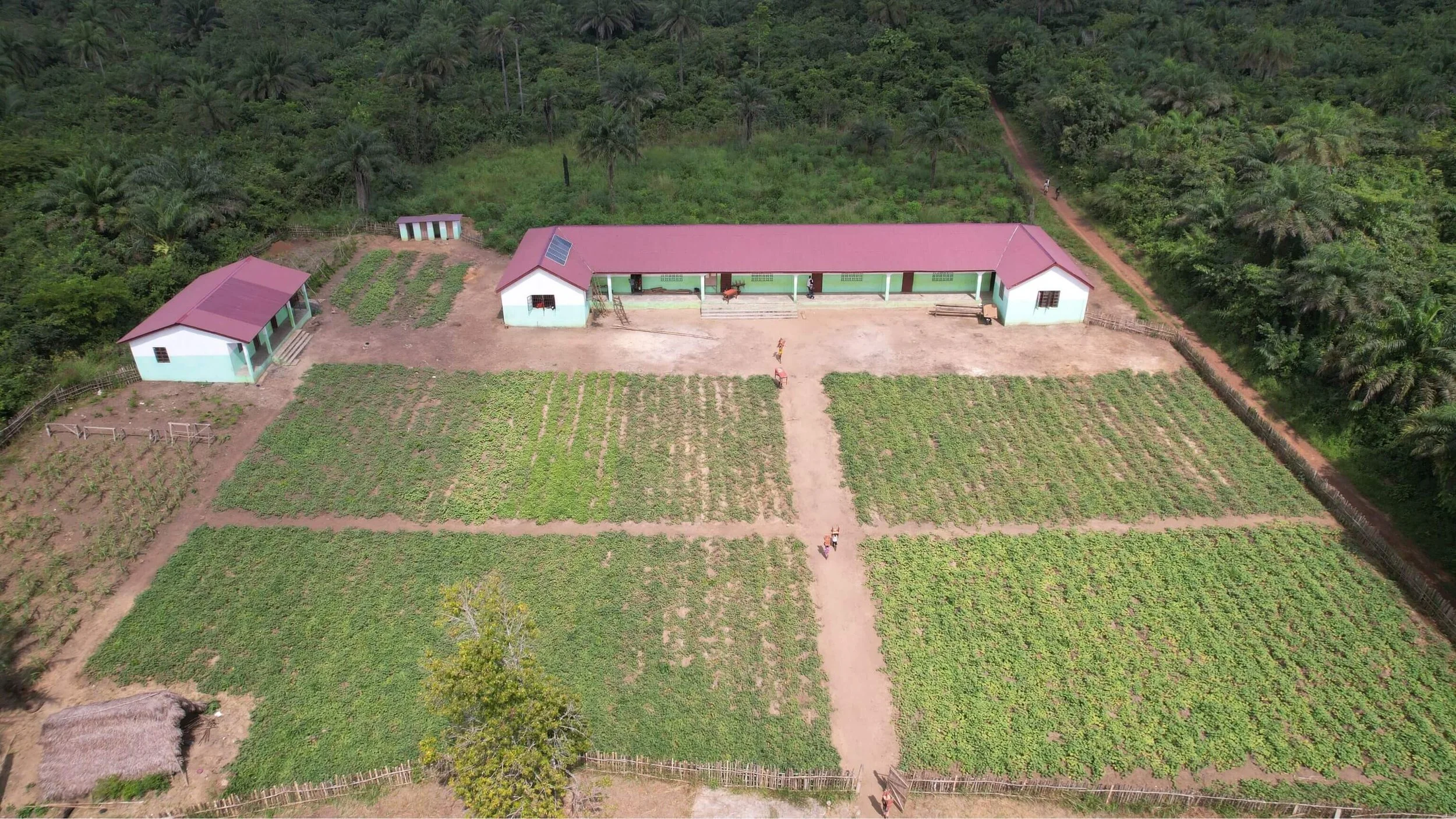 School - LIVE DOCUMENT