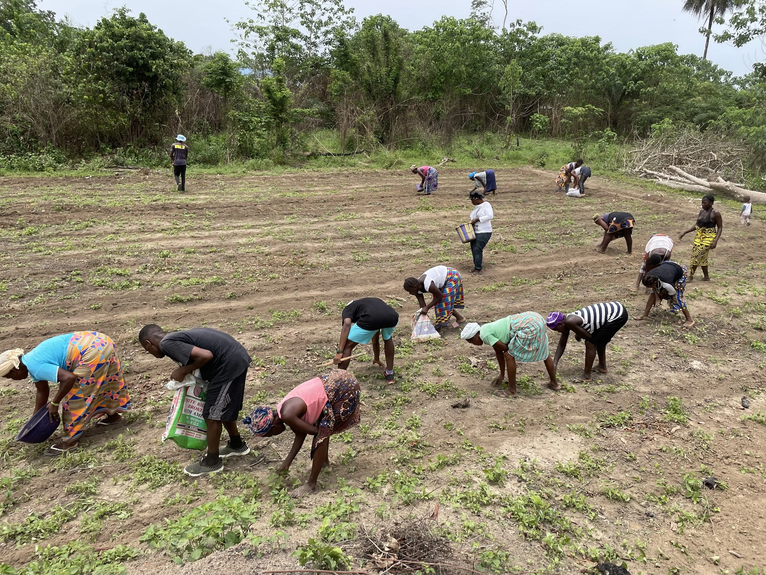 2022 GTGR and FBO planting.JPG