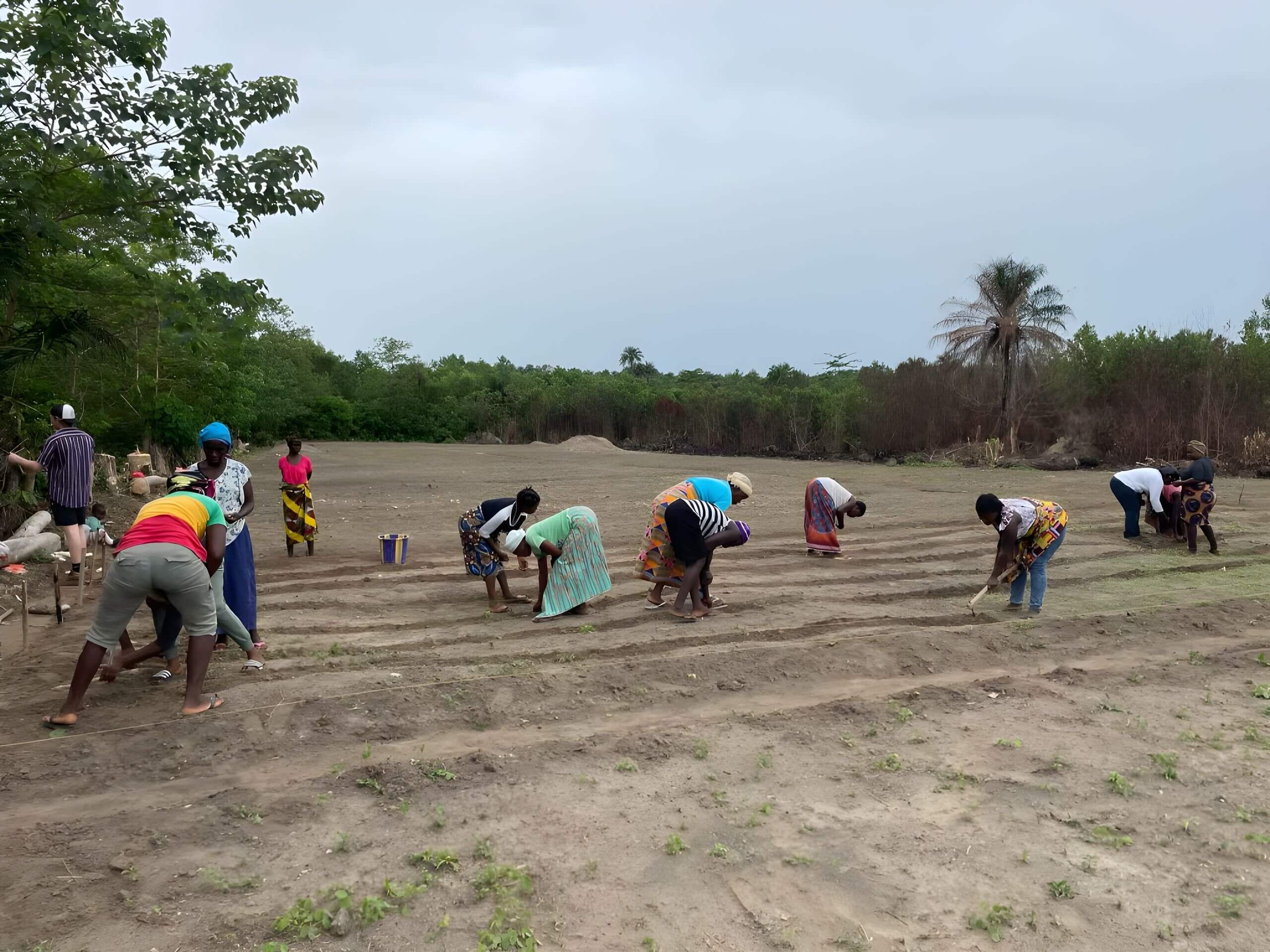 Service Work —Growing the Grassroots