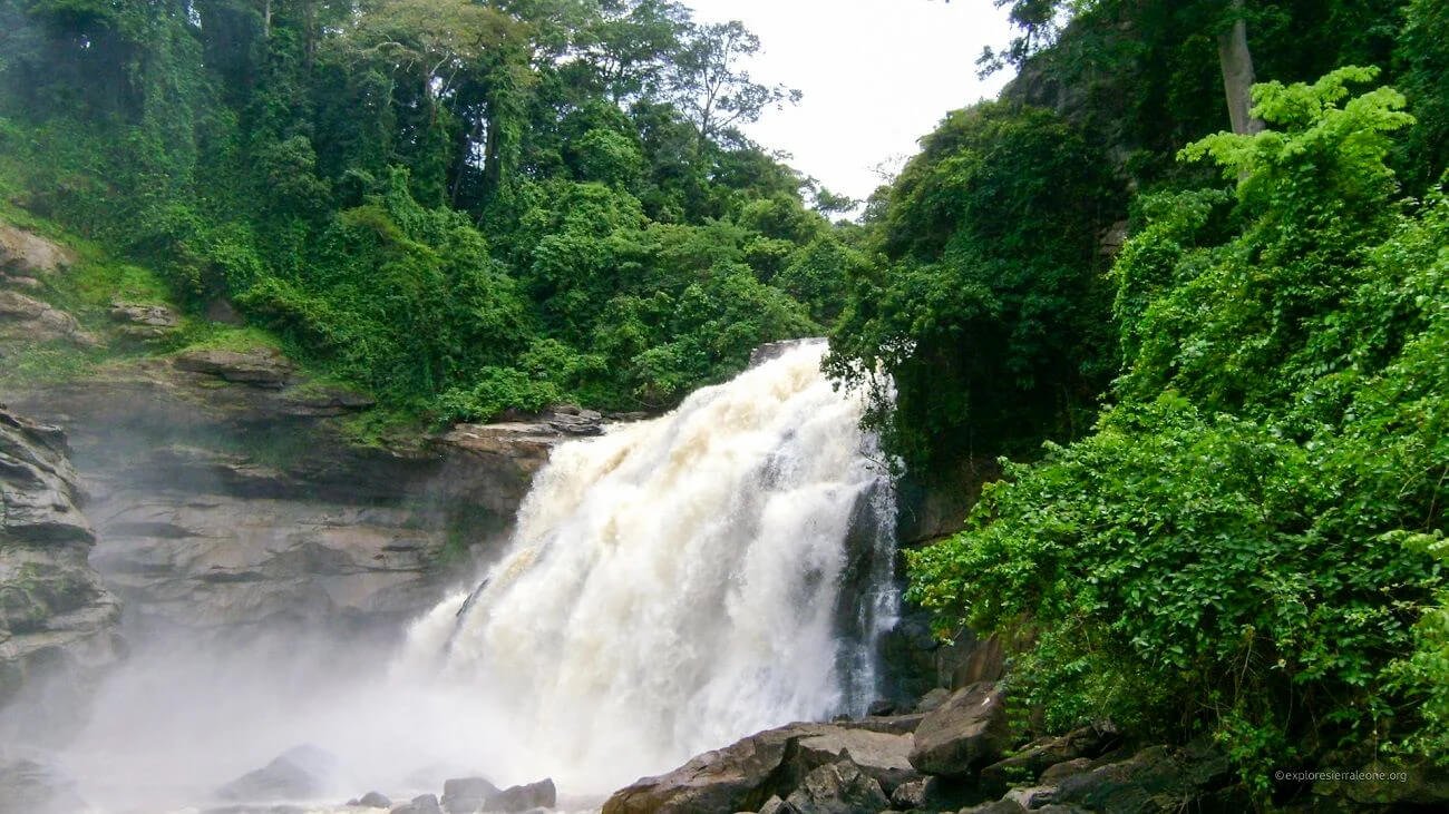 bd8c6428-02ad-4d00-8b00-89a8c945b2e9 (1).jpg