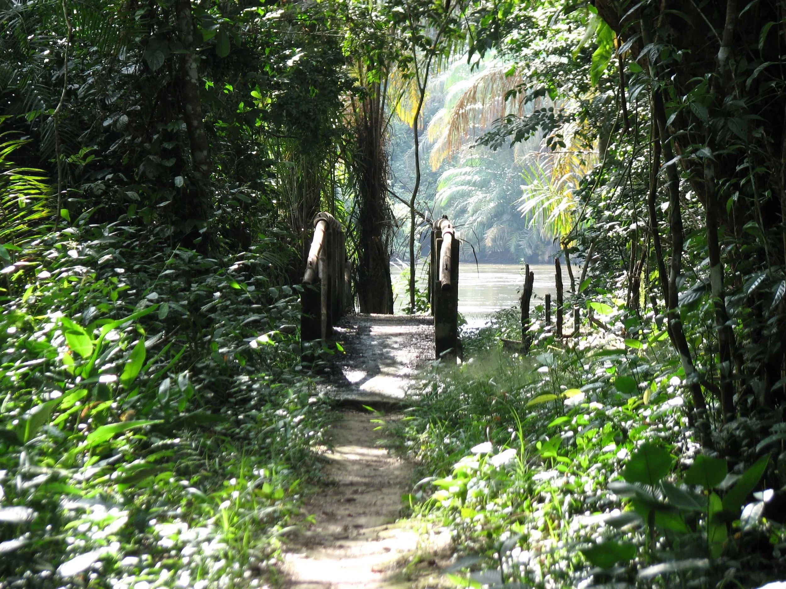 best photo of a hike (1).jpg