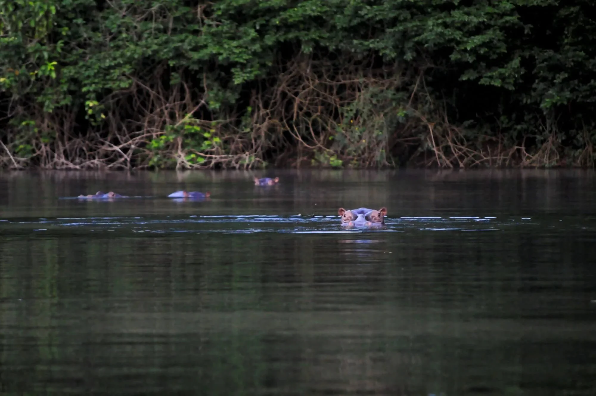 fdfac2d5-9f6b-4bf1-b149-c2d300e6b342 (1).jpg