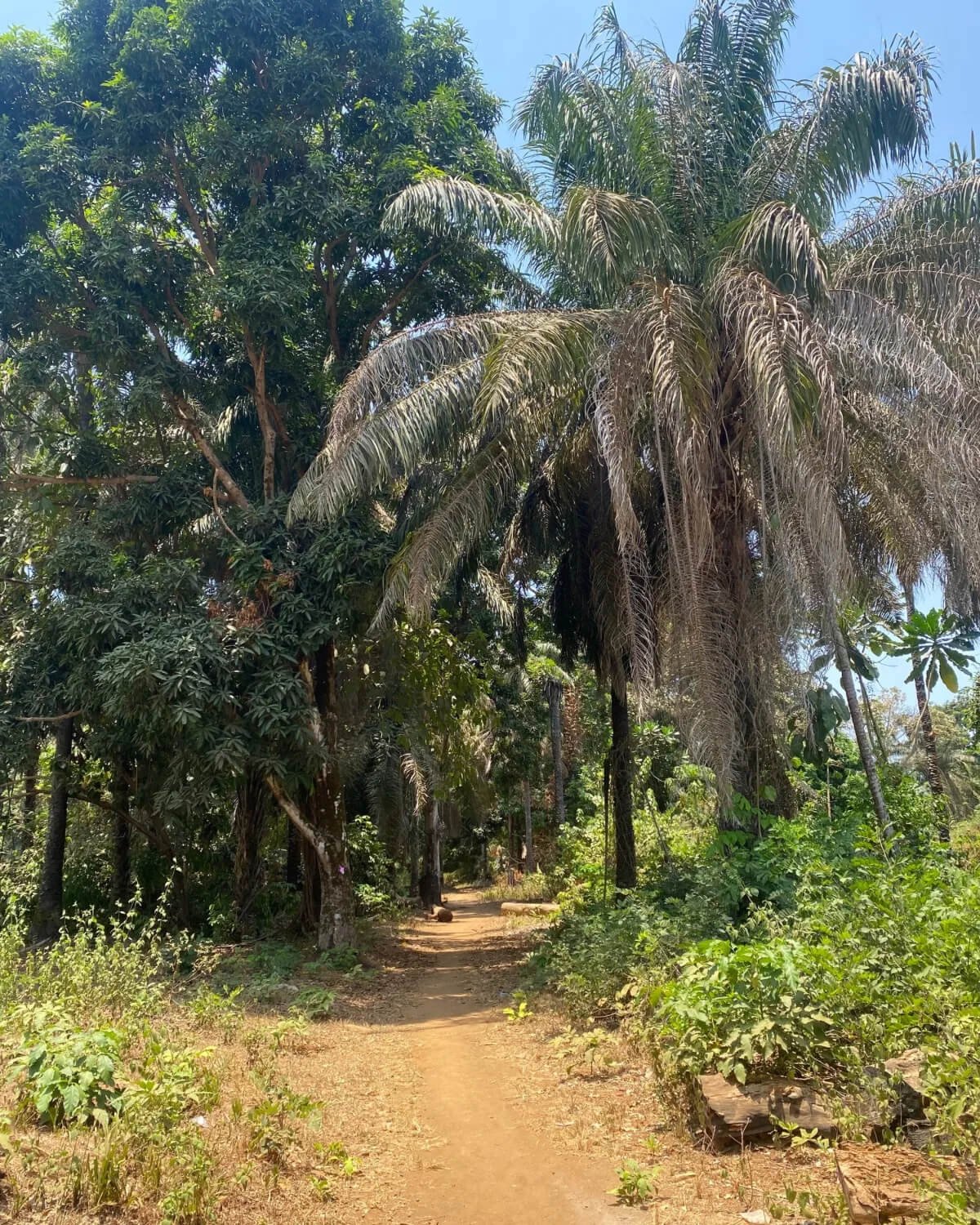 9aa55a2e-5307-45a8-b6e5-761e0080e5c5 (1).jpg