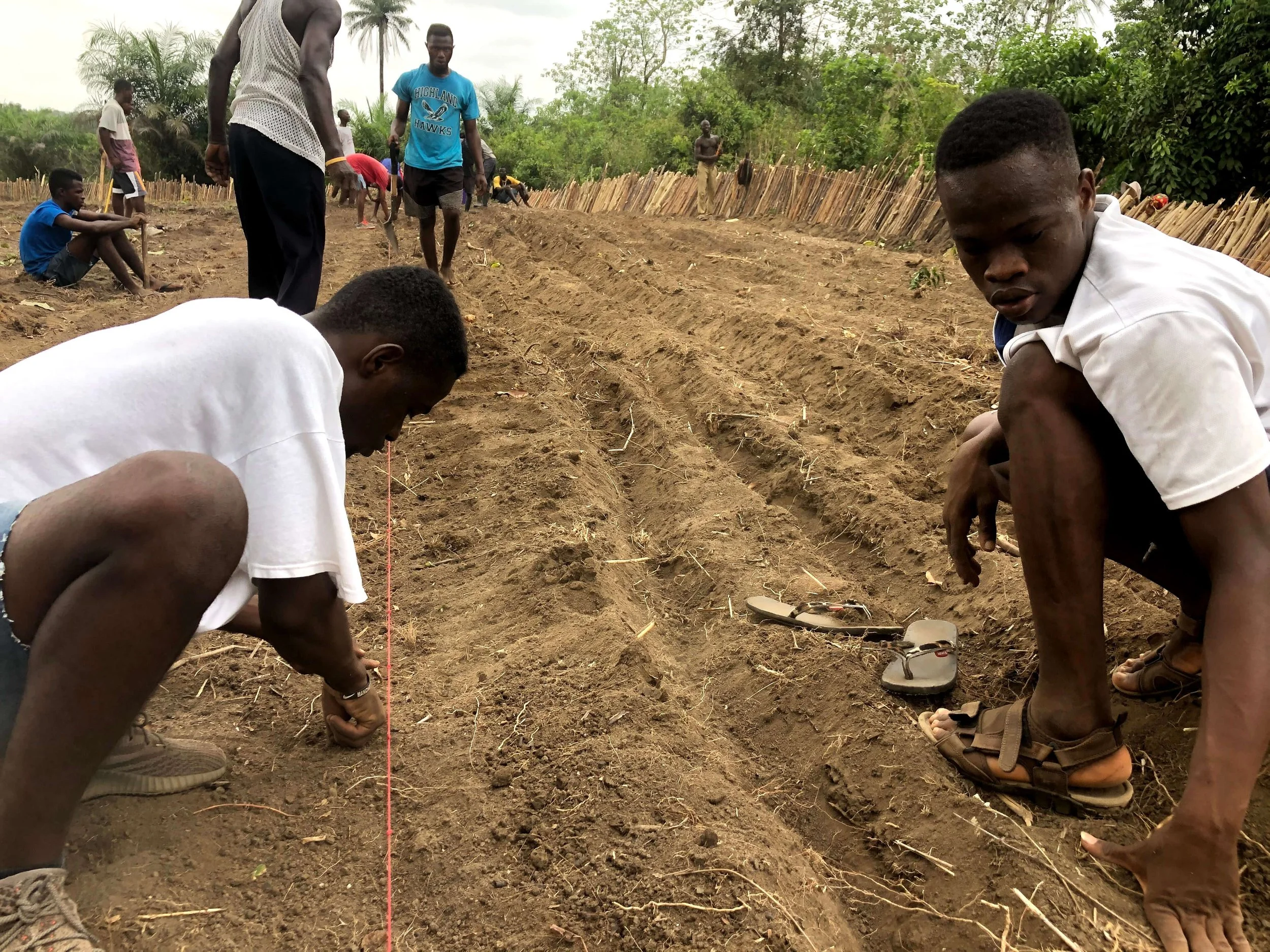 597550f2-5c96-42dc-b039-fbecdf356d7b (1).jpg