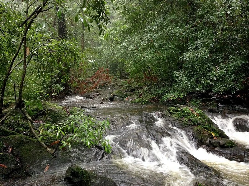 Running water (1).jpg