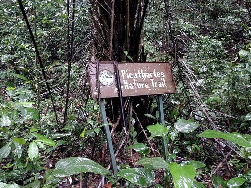 Nature trail sign (1).jpg
