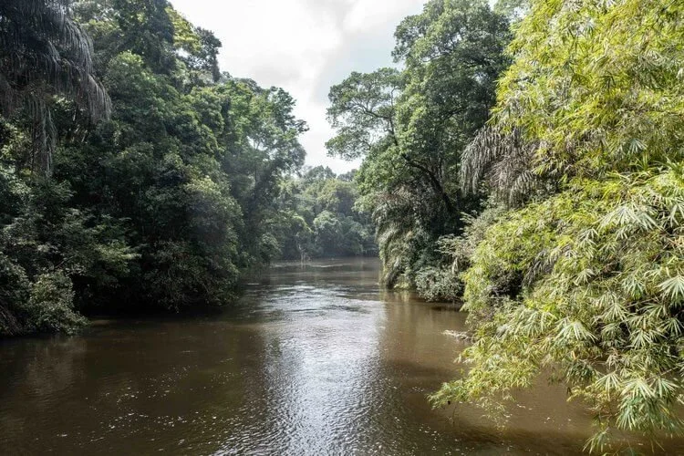 Boat ride on river (1).jpg