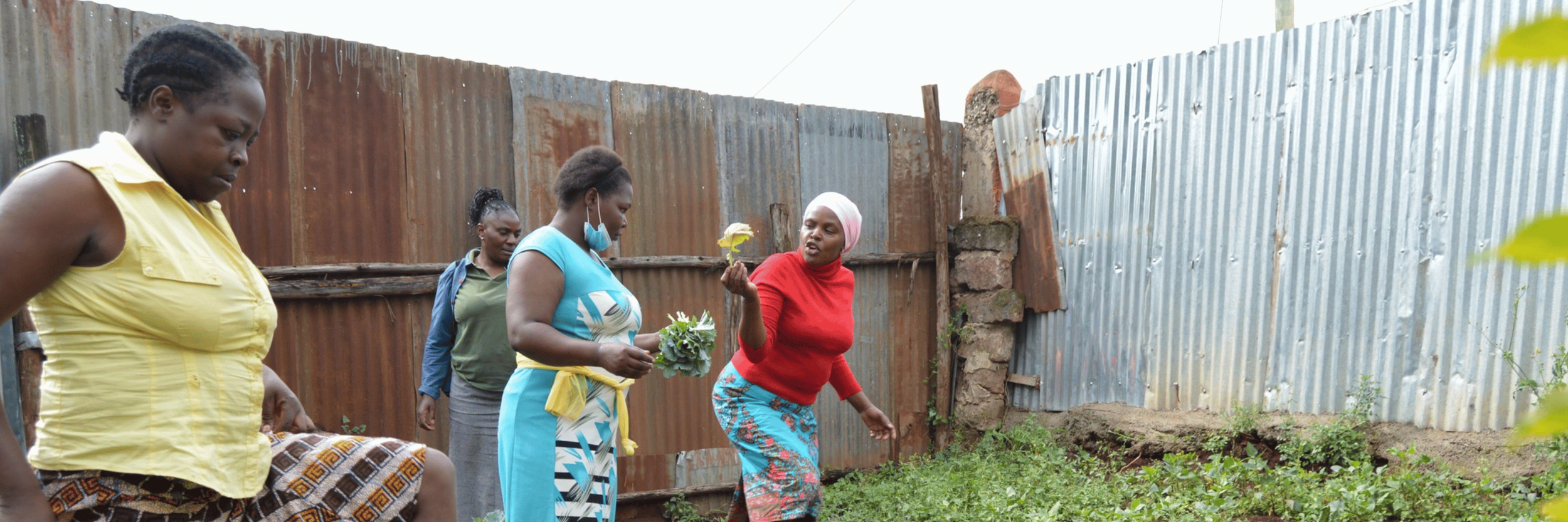 Local women gardening