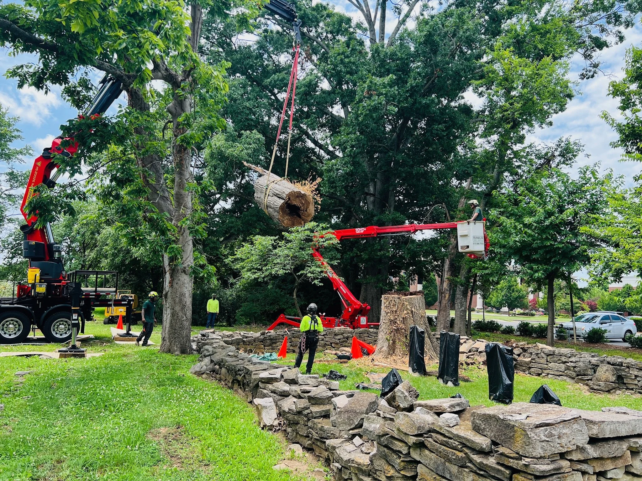 City of Franklin Removes Dead Witness Tree