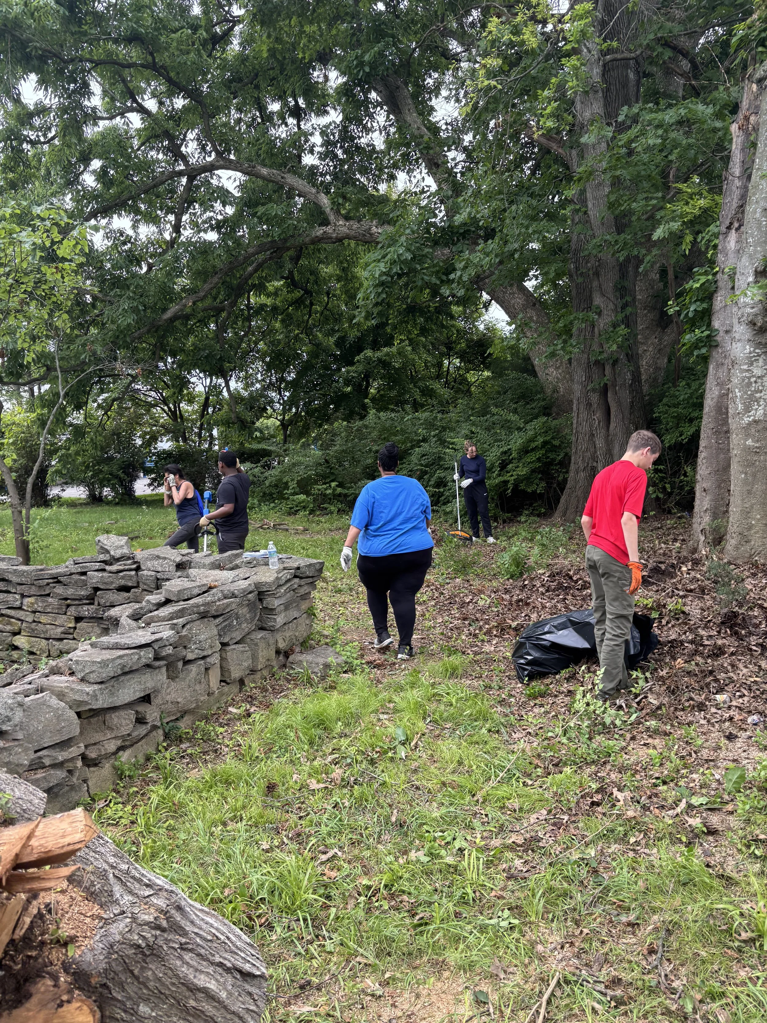 Group of people participating in a community cleanup or gardening project in a wooded park.