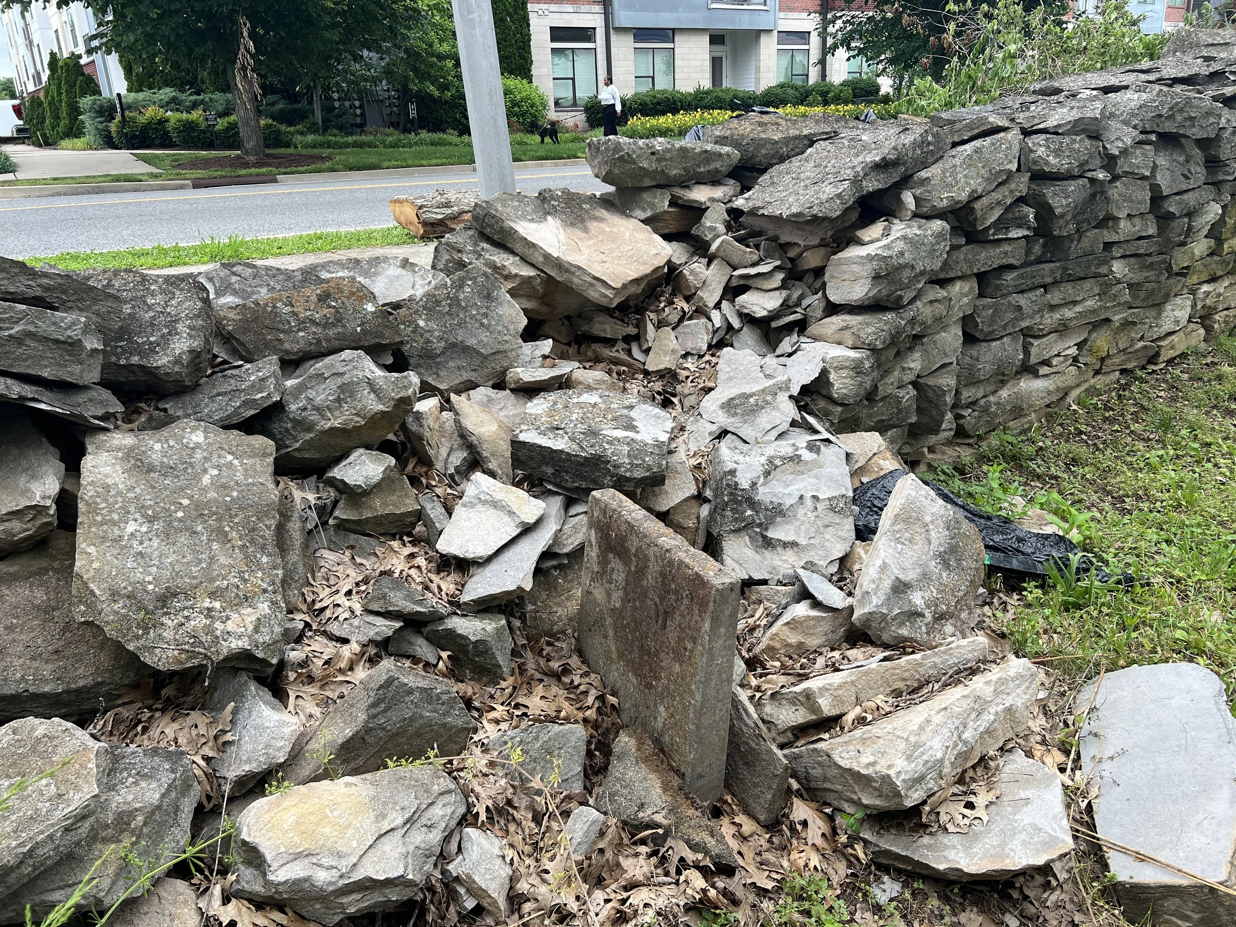 A partially collapsed dry stone wall made of irregular gray rocks on a grassy area next to a sidewalk and street, with some leaves and small plants around.
