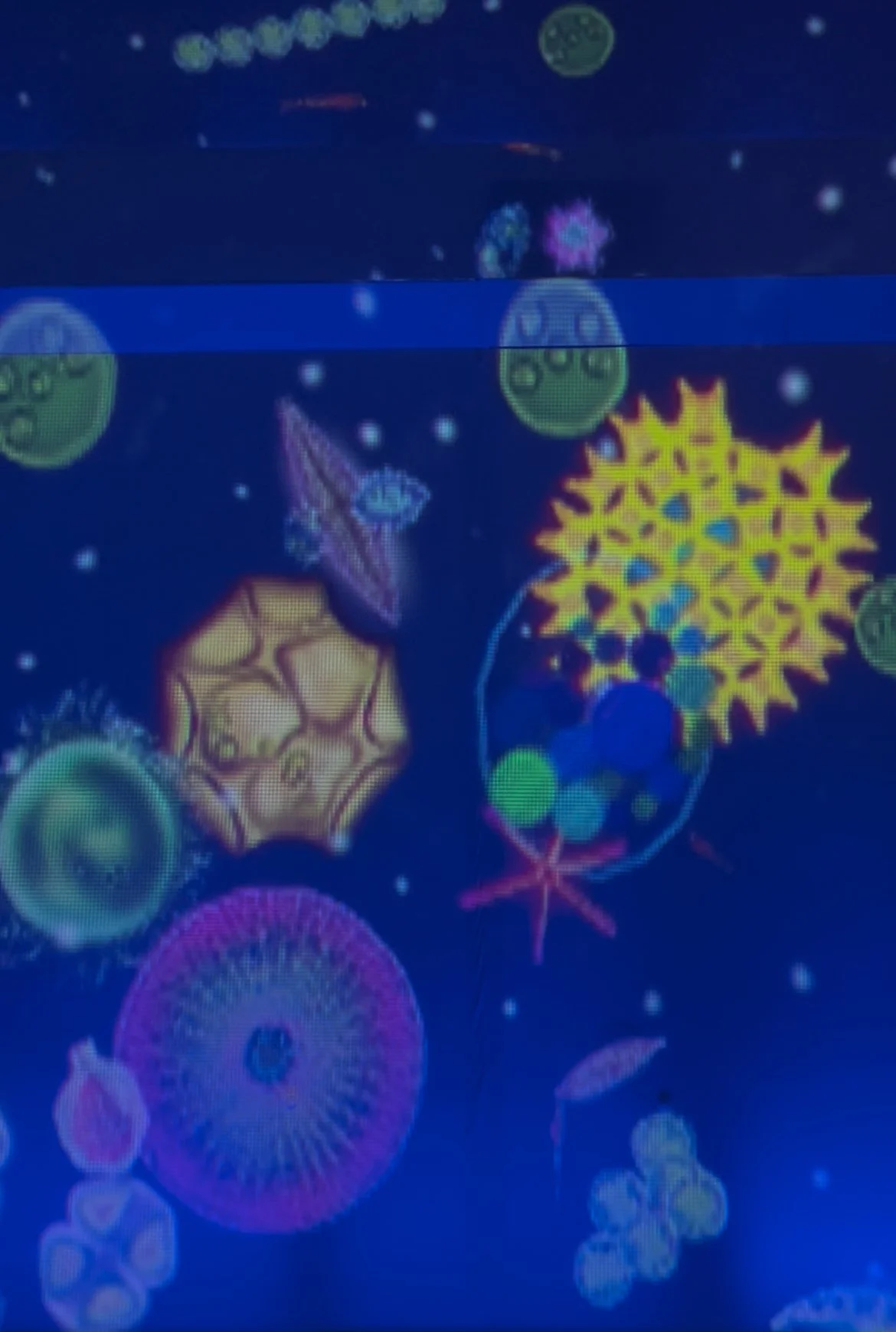 Diatomic States (2025)