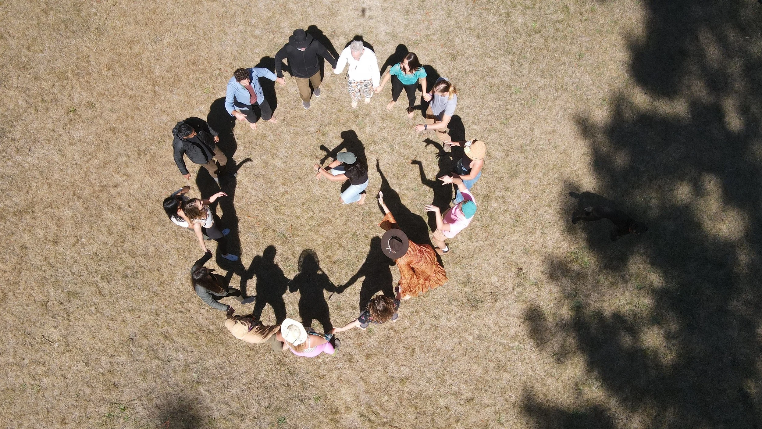 dji_fly_20240908_120304_169_1725822512310_photo.jpg