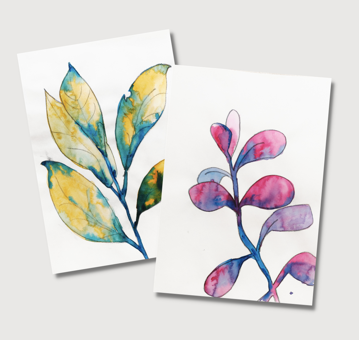 Servicios Editoriales e Ilustración Profesional