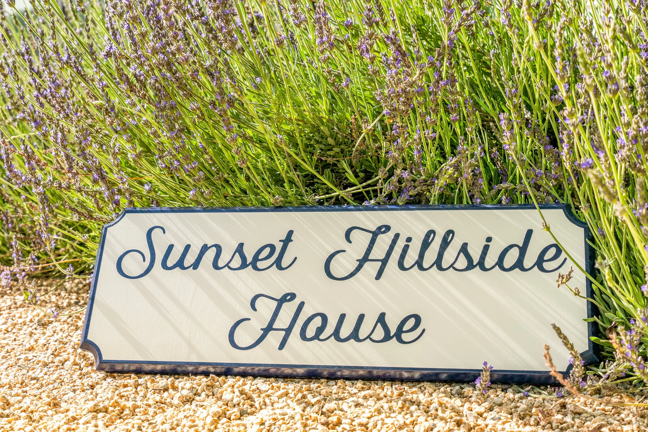 A sign that reads 'Sunset Hillside House' placed on gravel, surrounded by purple flowering plants and greenery.