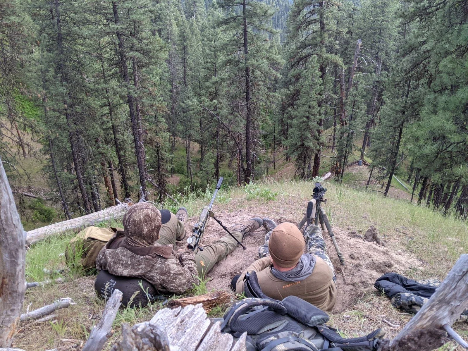 Two individuals lying on a hillside in a forest, aiming rifles with spotting scopes, surrounded by tall pine trees and natural landscape in the background.