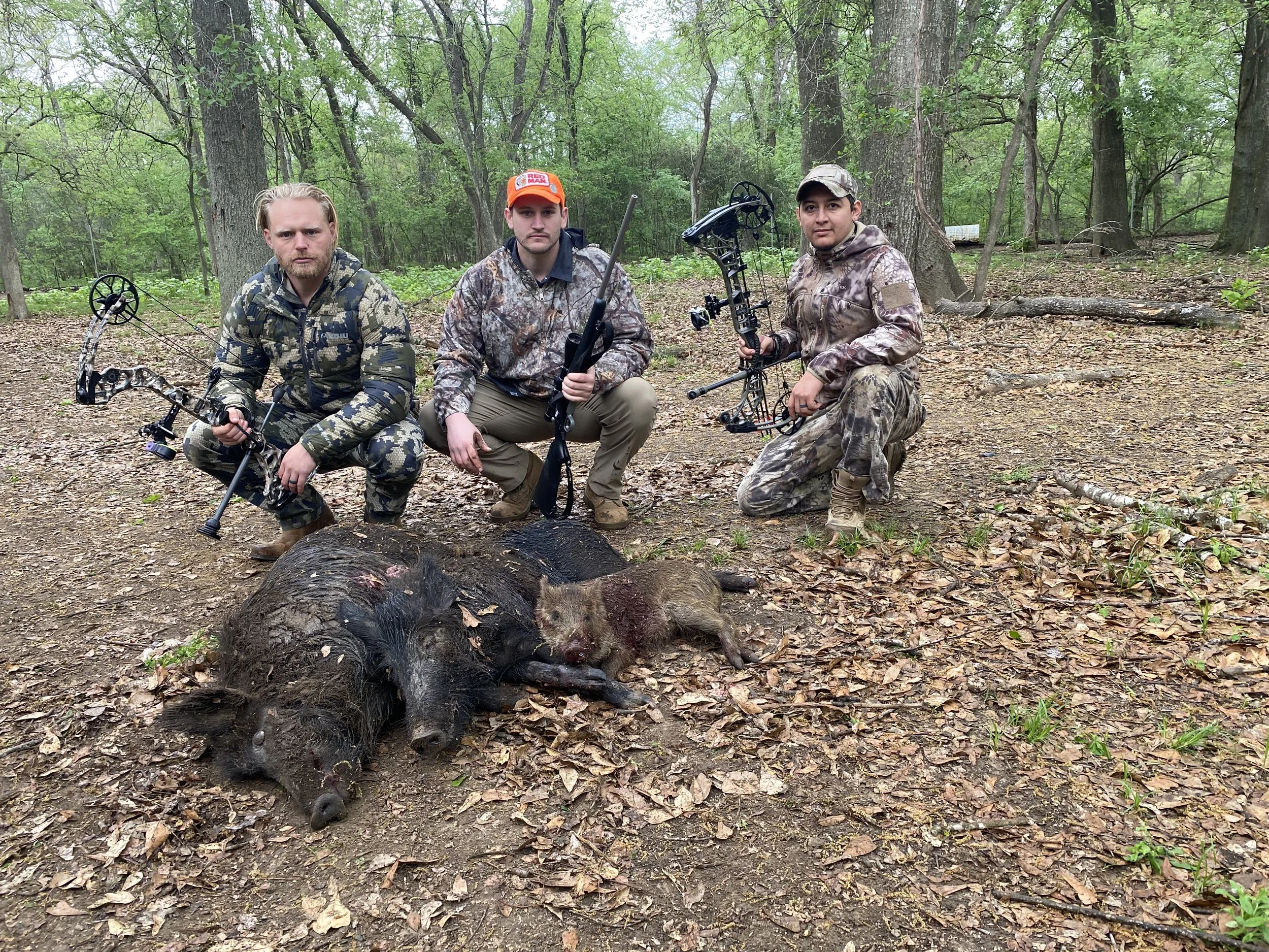 Three hunters kneeling and squatting in a wooded area with a dead wild pig and boar lying on the ground. All three are dressed in camouflage clothing and holding bows, with one also holding a rifle. The background shows trees and a forest floor cover