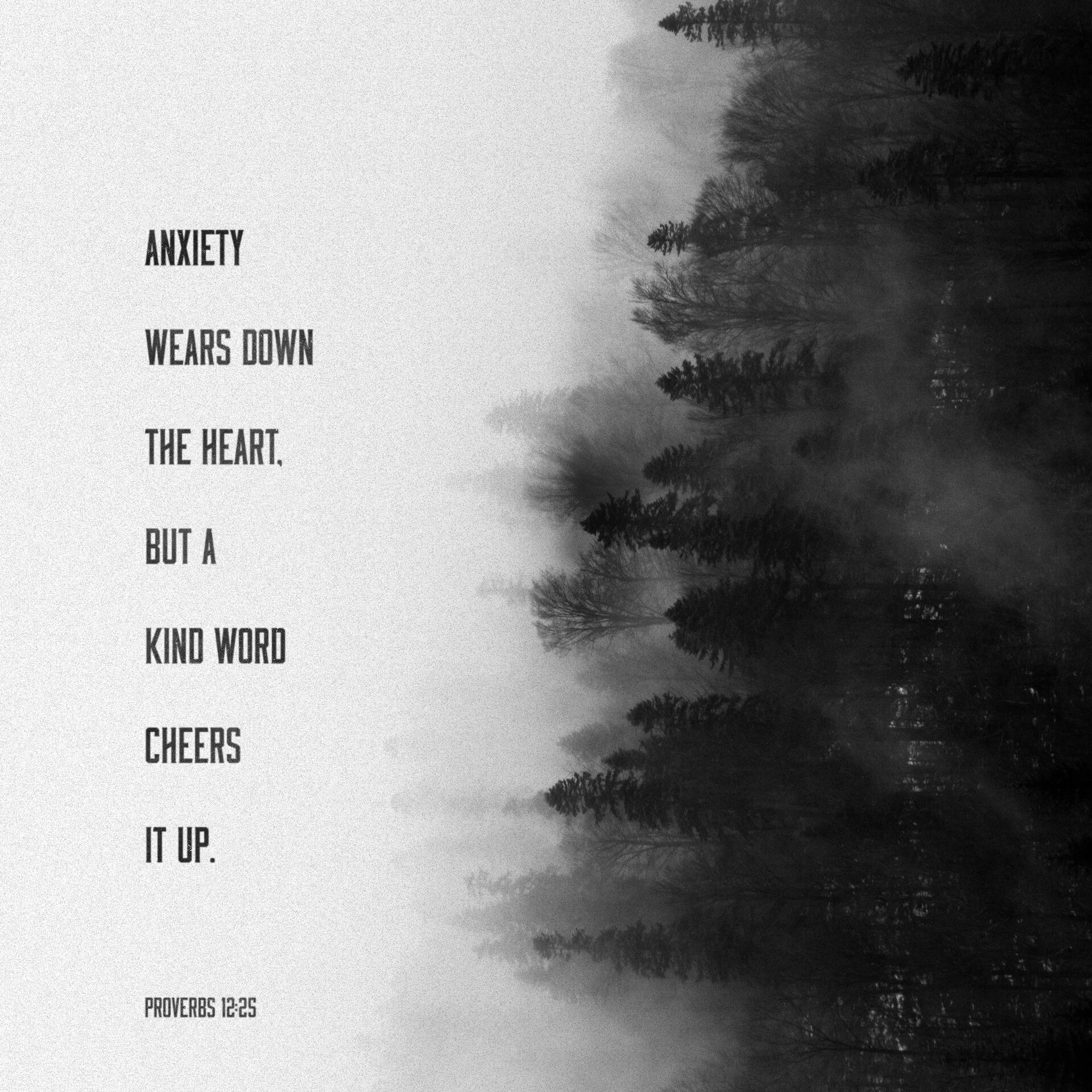 image-asset (4).jpeg