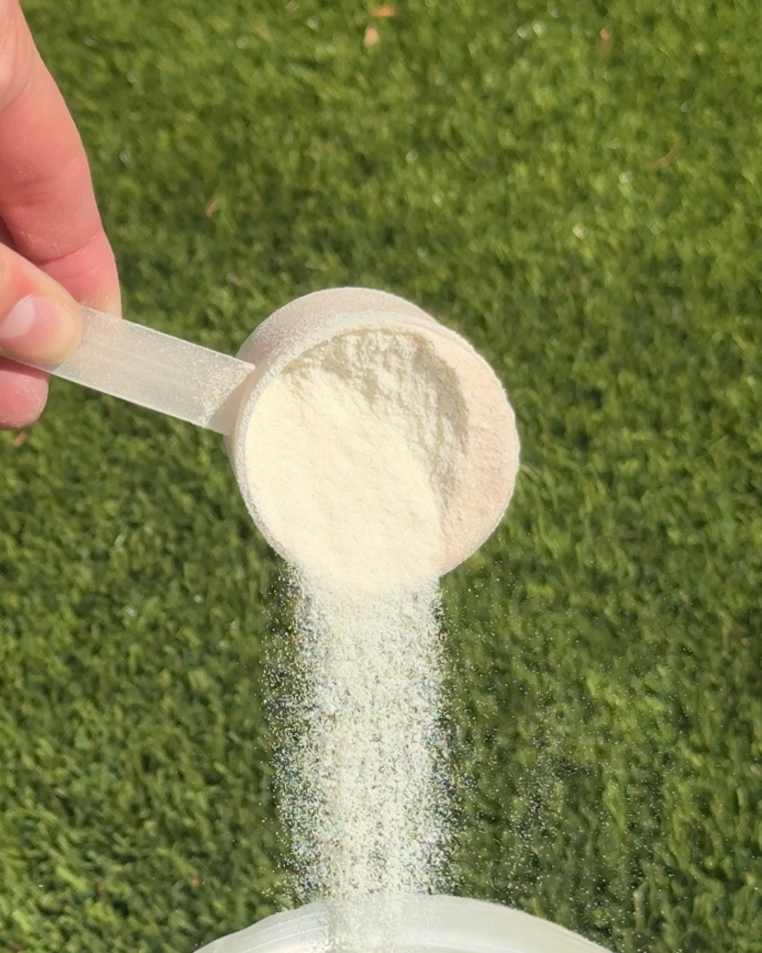 Collagen Peptides.png