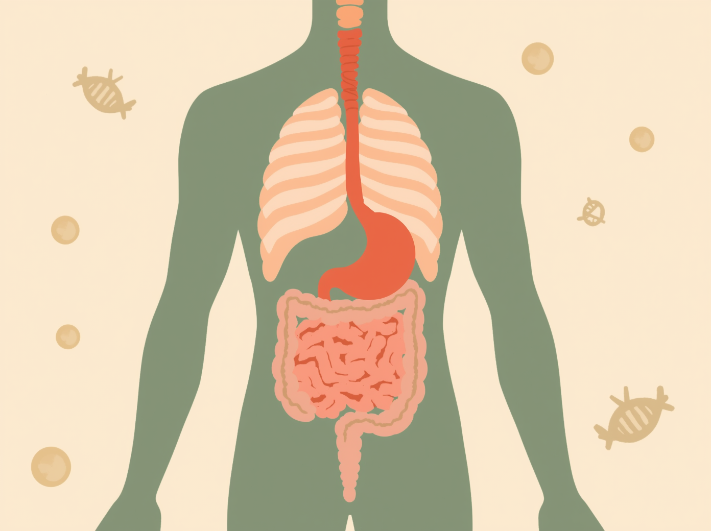 Gut Microbiome Testing: What It Can (and Can’t) Tell You