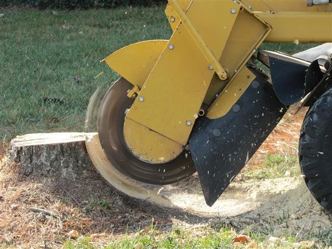 Close-up of a stump grinder machine cutting through a tree stump in a grassy area.