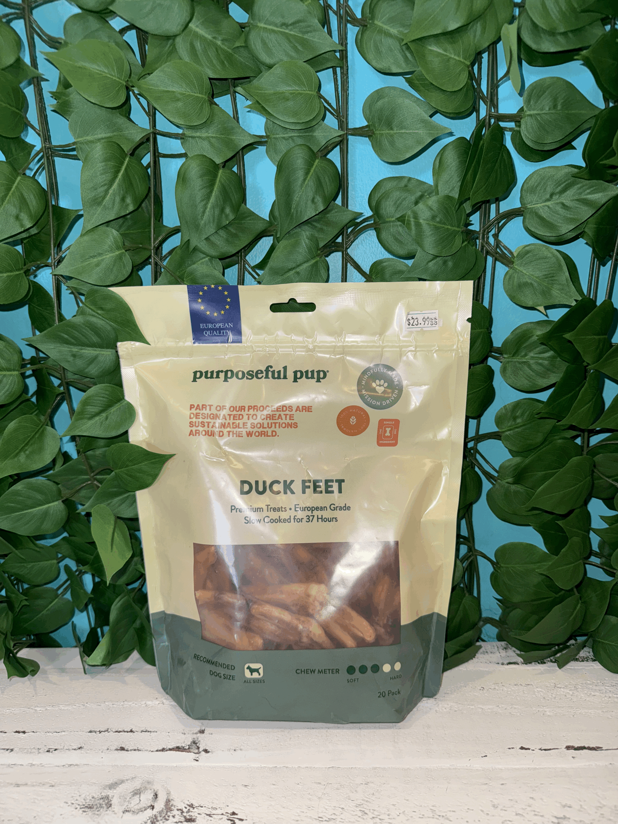 Purposeful Pup Duck Feet