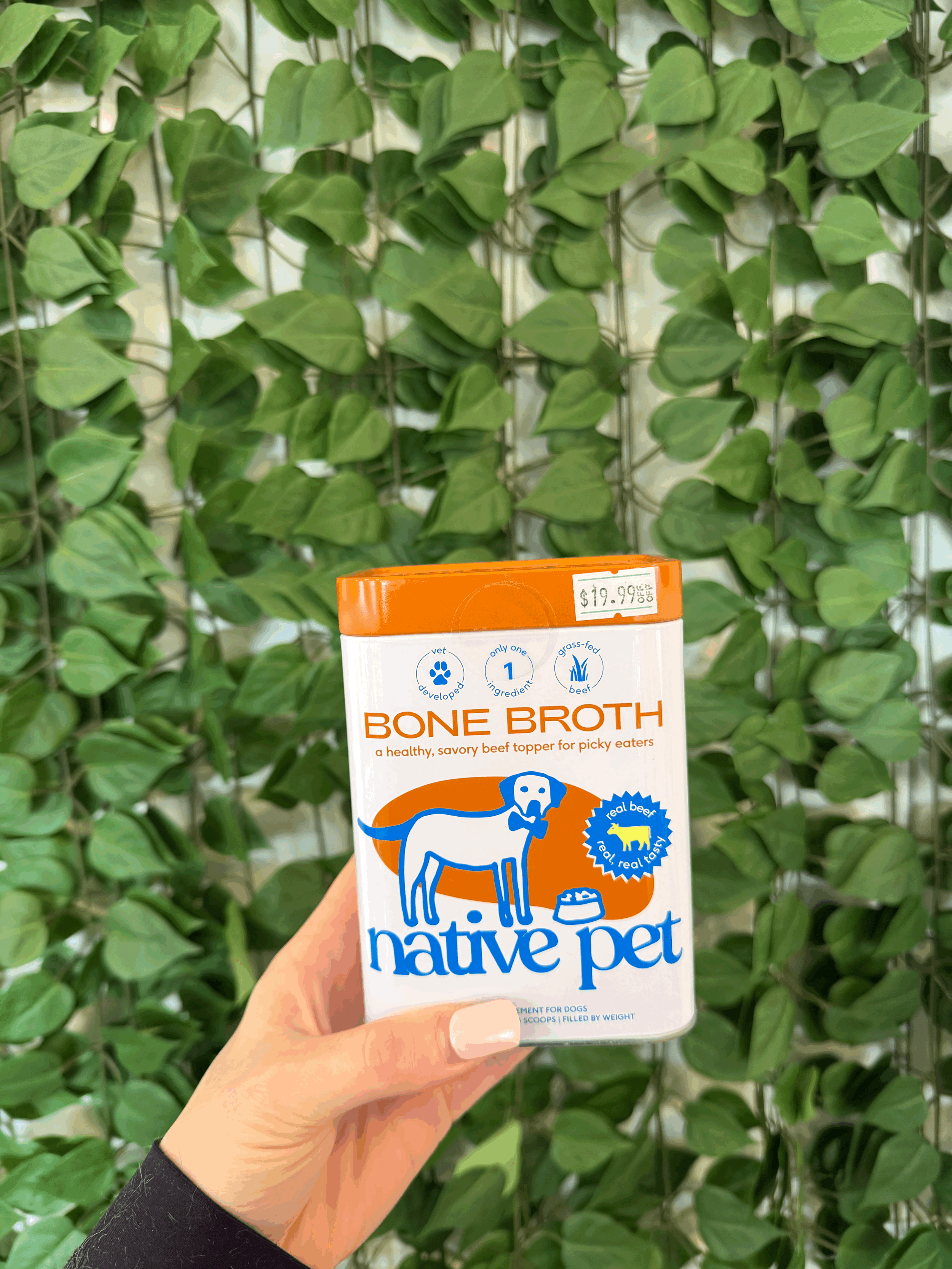 Bone Broth Powder (Beef) by Native Pet