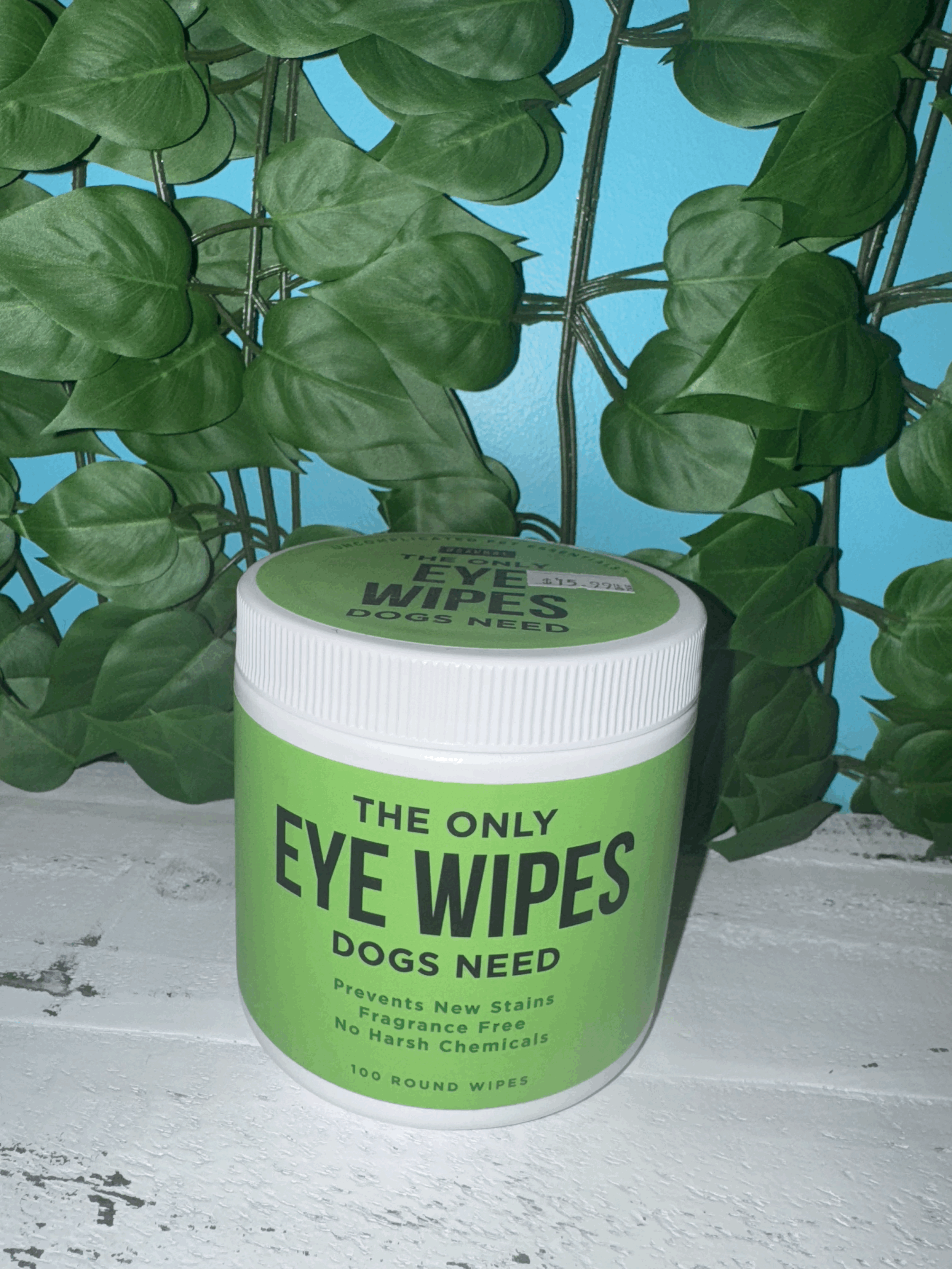 The Only Eye Wipes Dogs Need