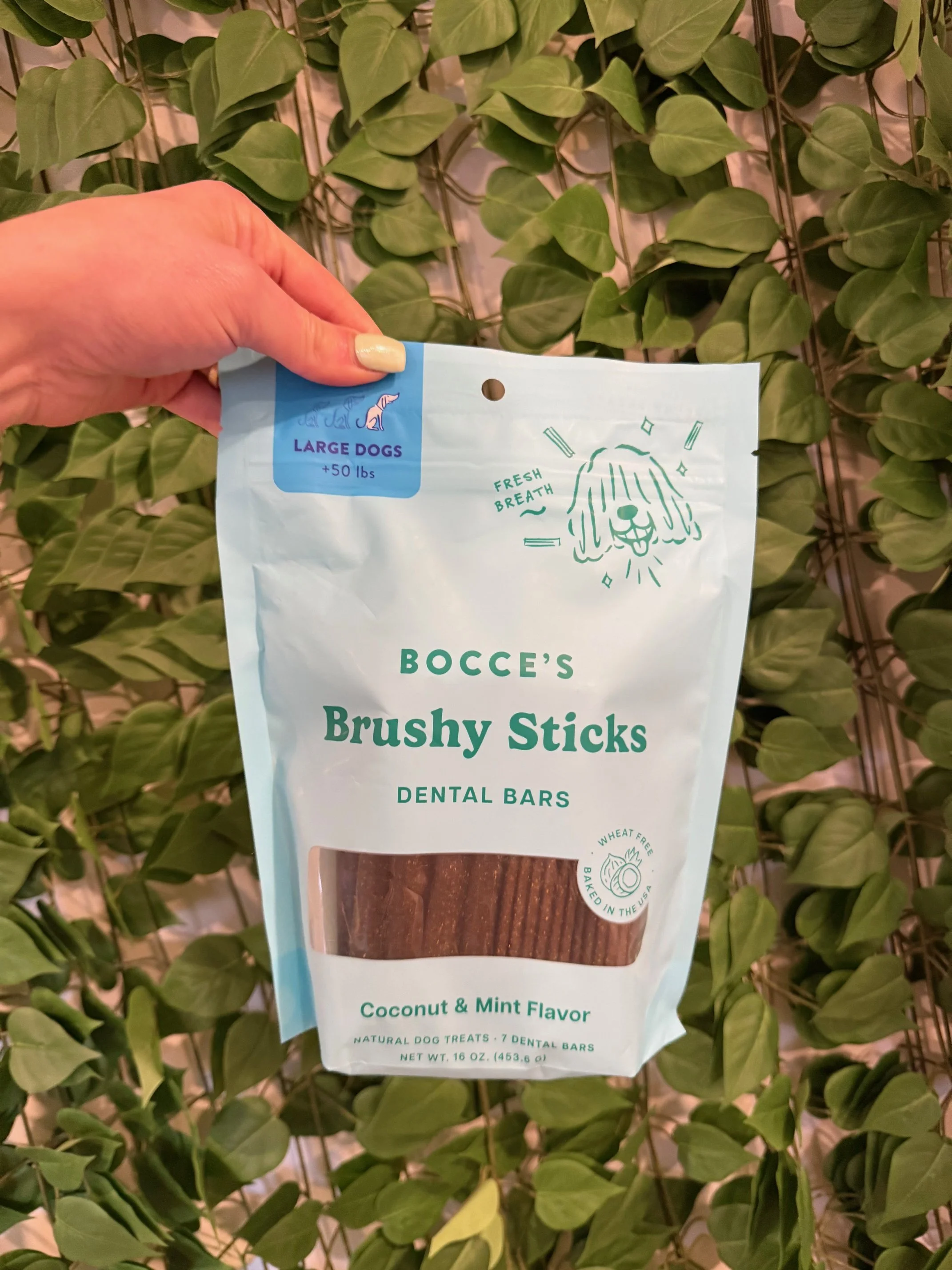 Brushy Sticks (Large) by Bocce's Bakery