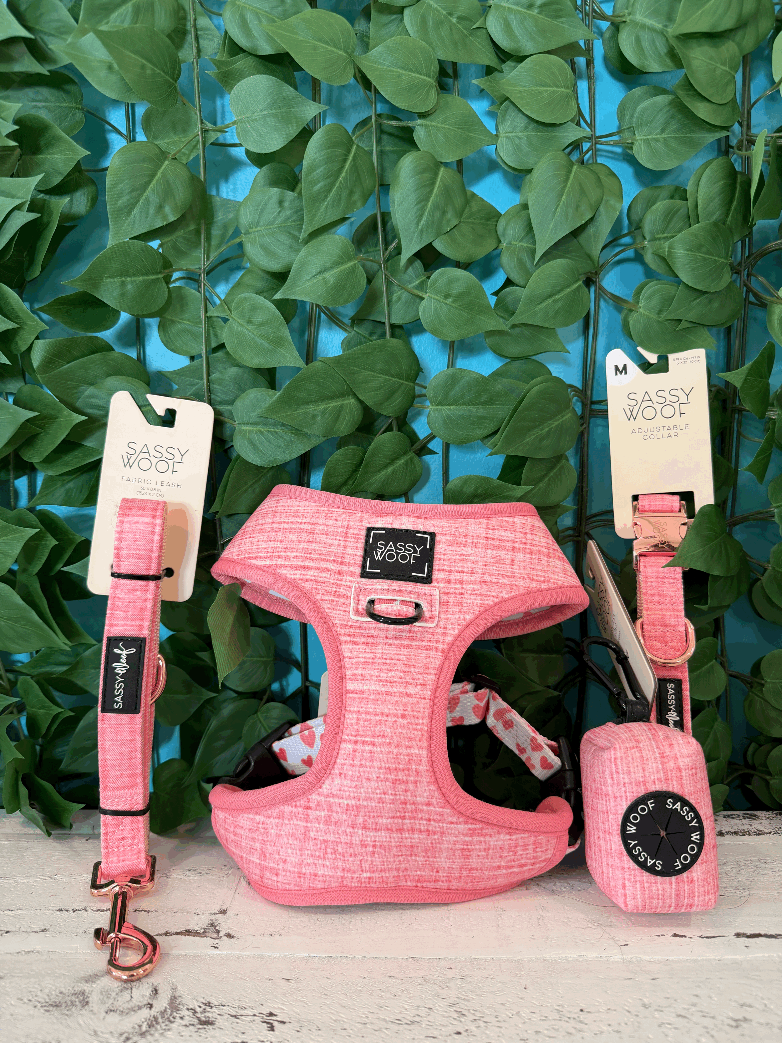 Love At First Walk Valentine's Day Package