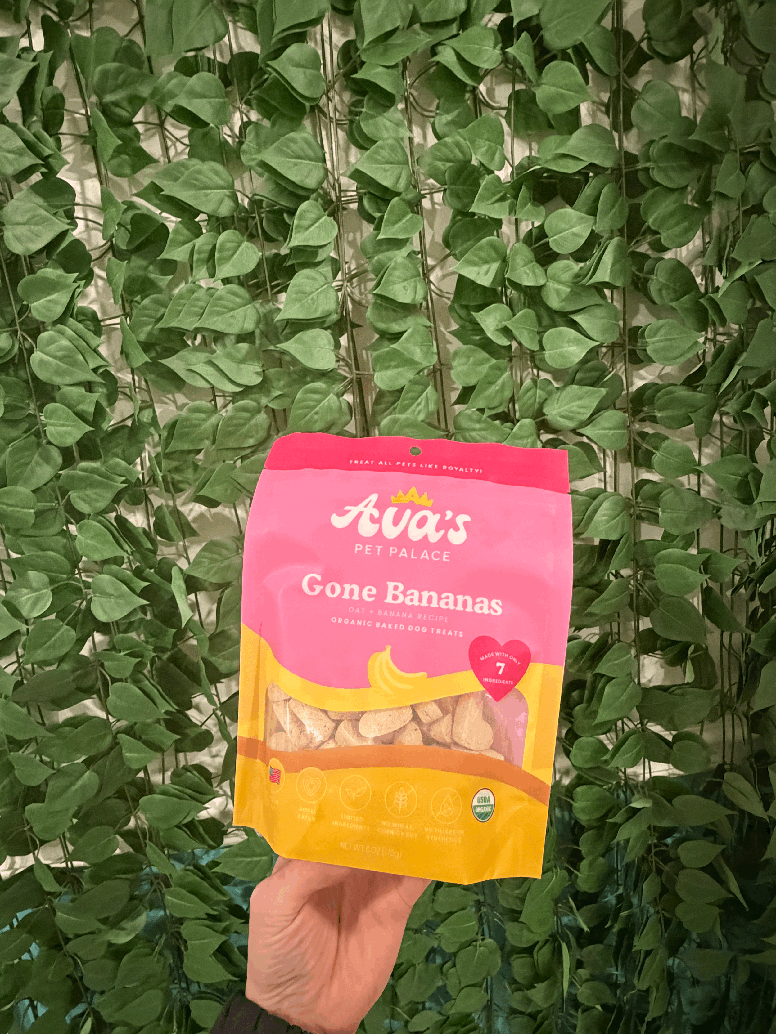 Ava's Pet Palace Gone Bananas