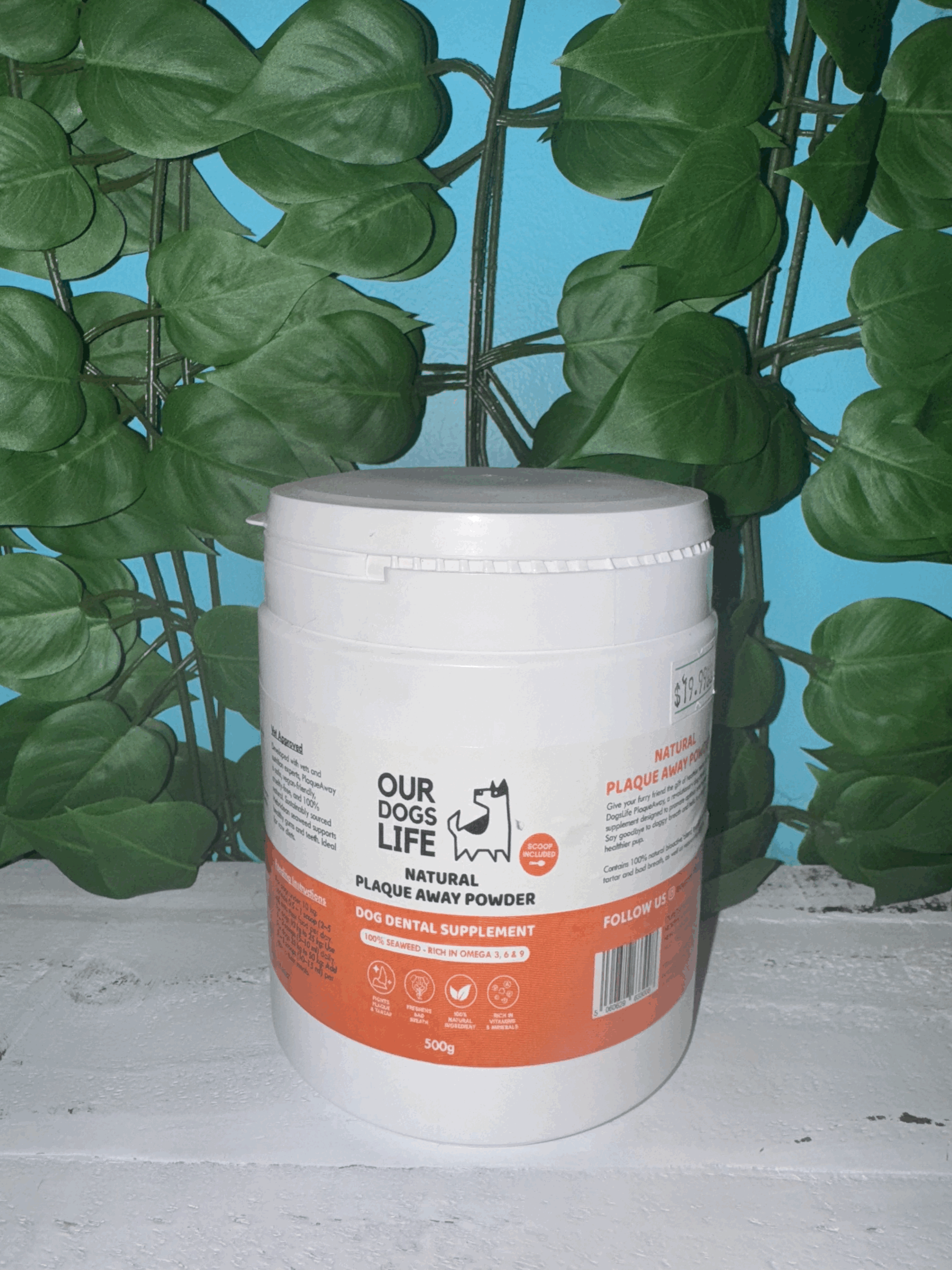 Our Dogs Life Natural Plaque Away Powder