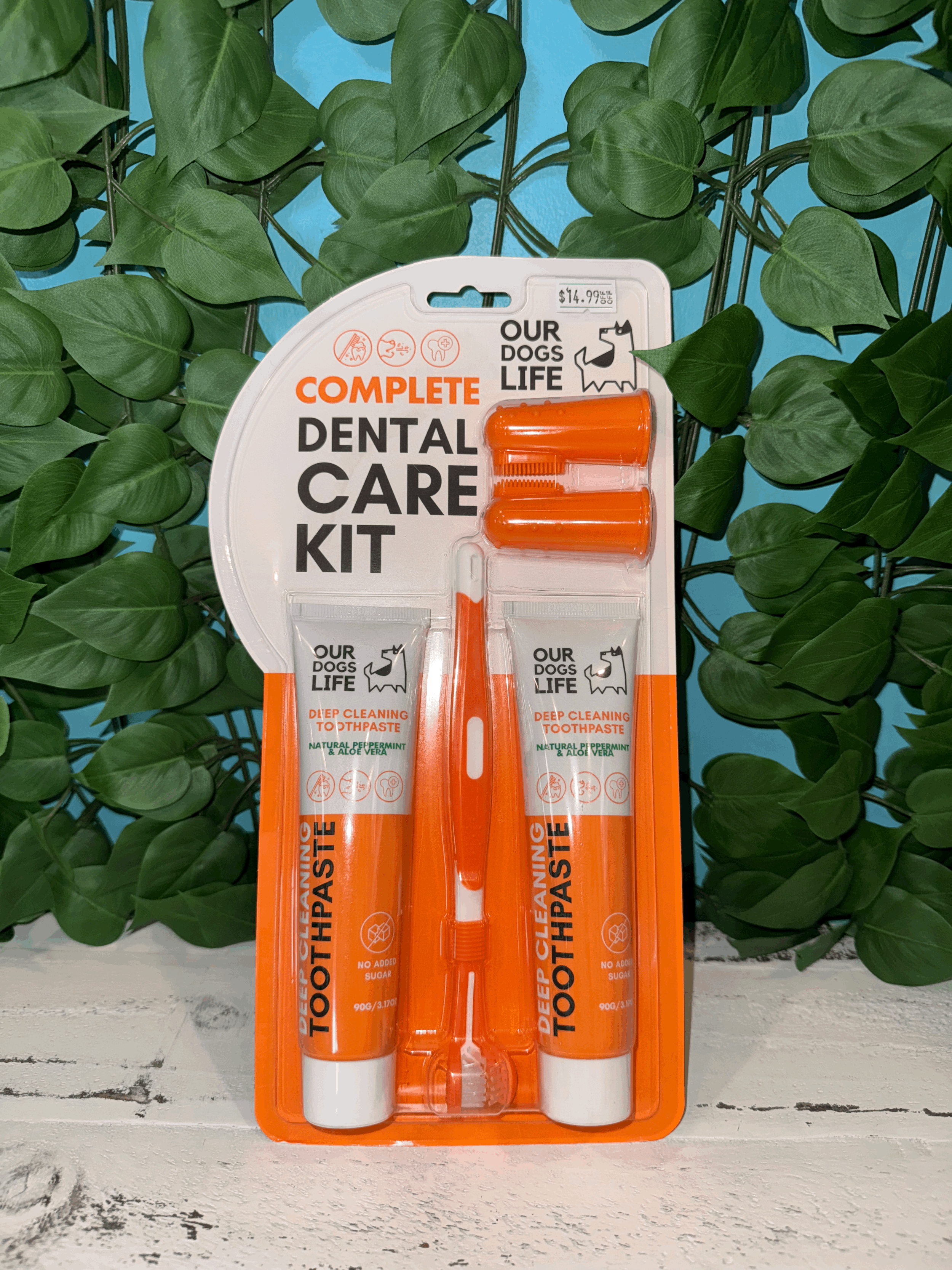 Our Dogs Life Complete Dental Care Kit