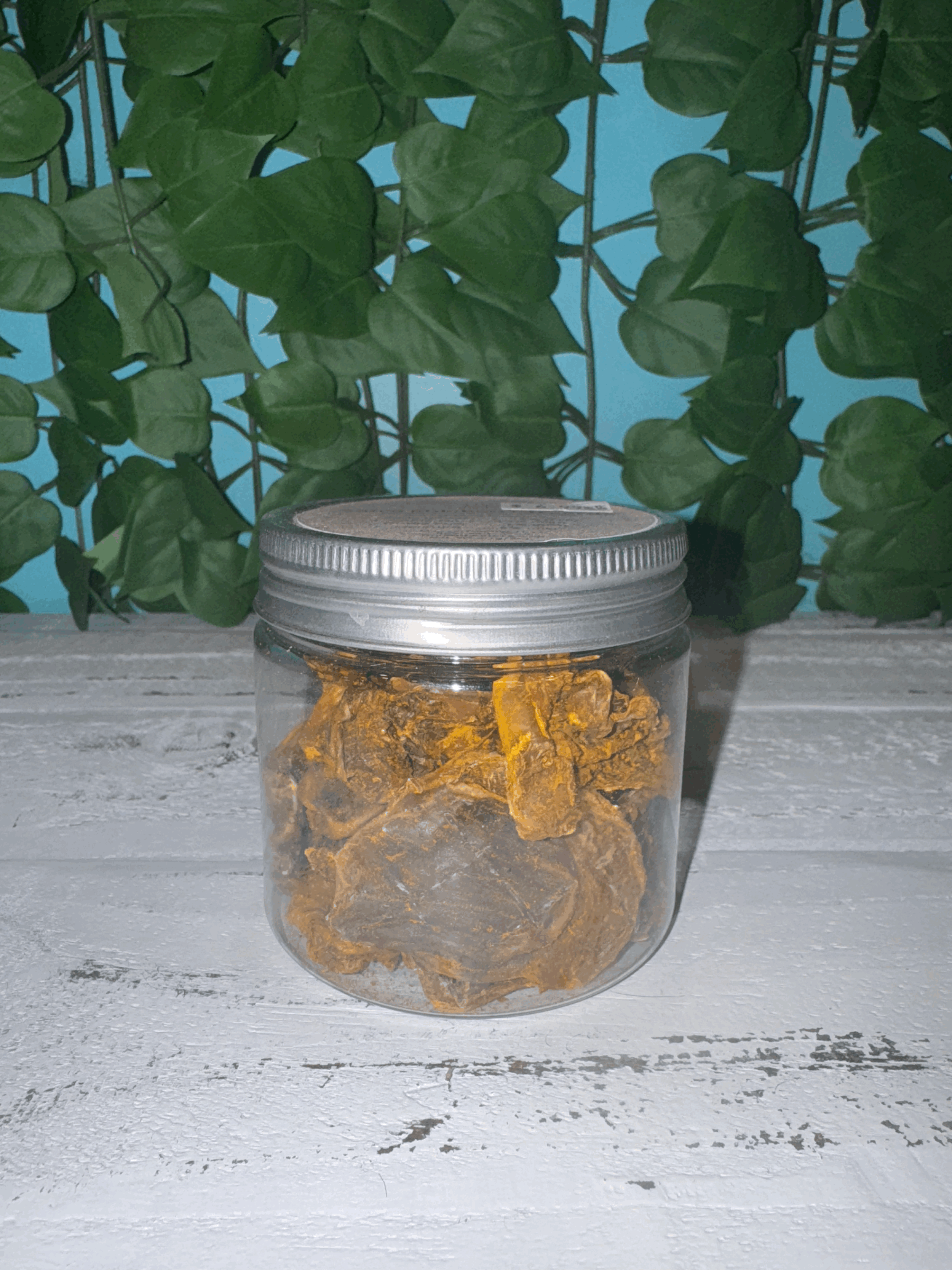 Astro Chicken Gizzards