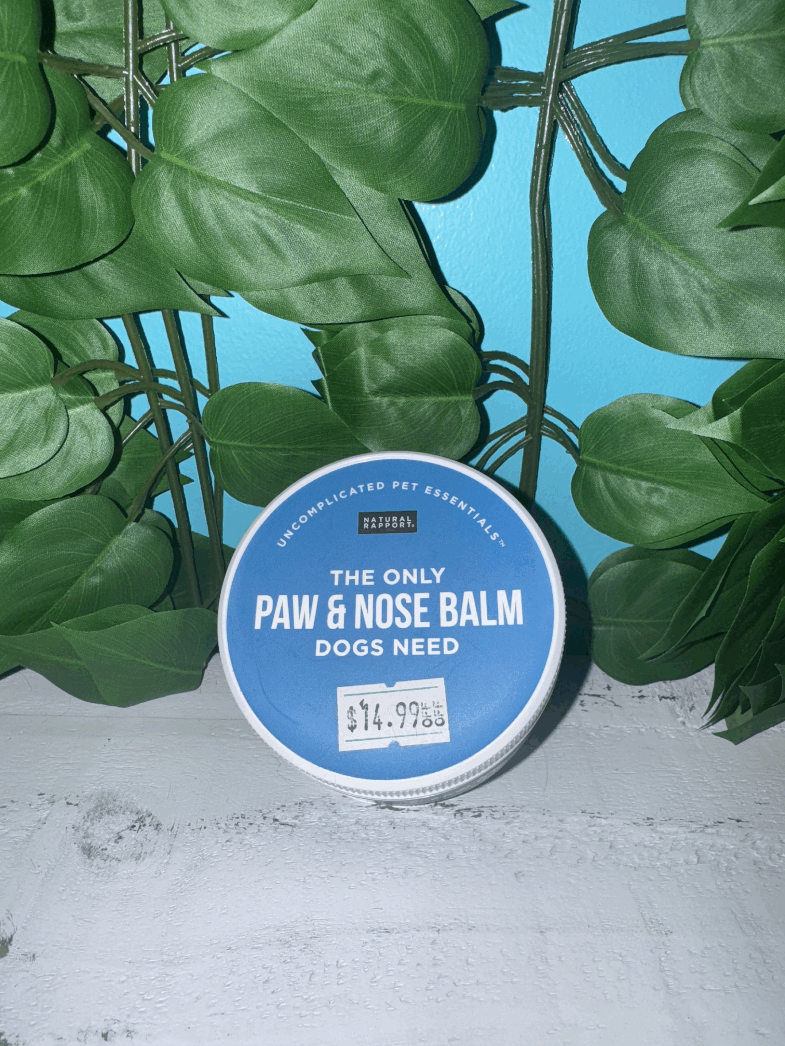 The Only Paw & Nose Balm Dogs Need