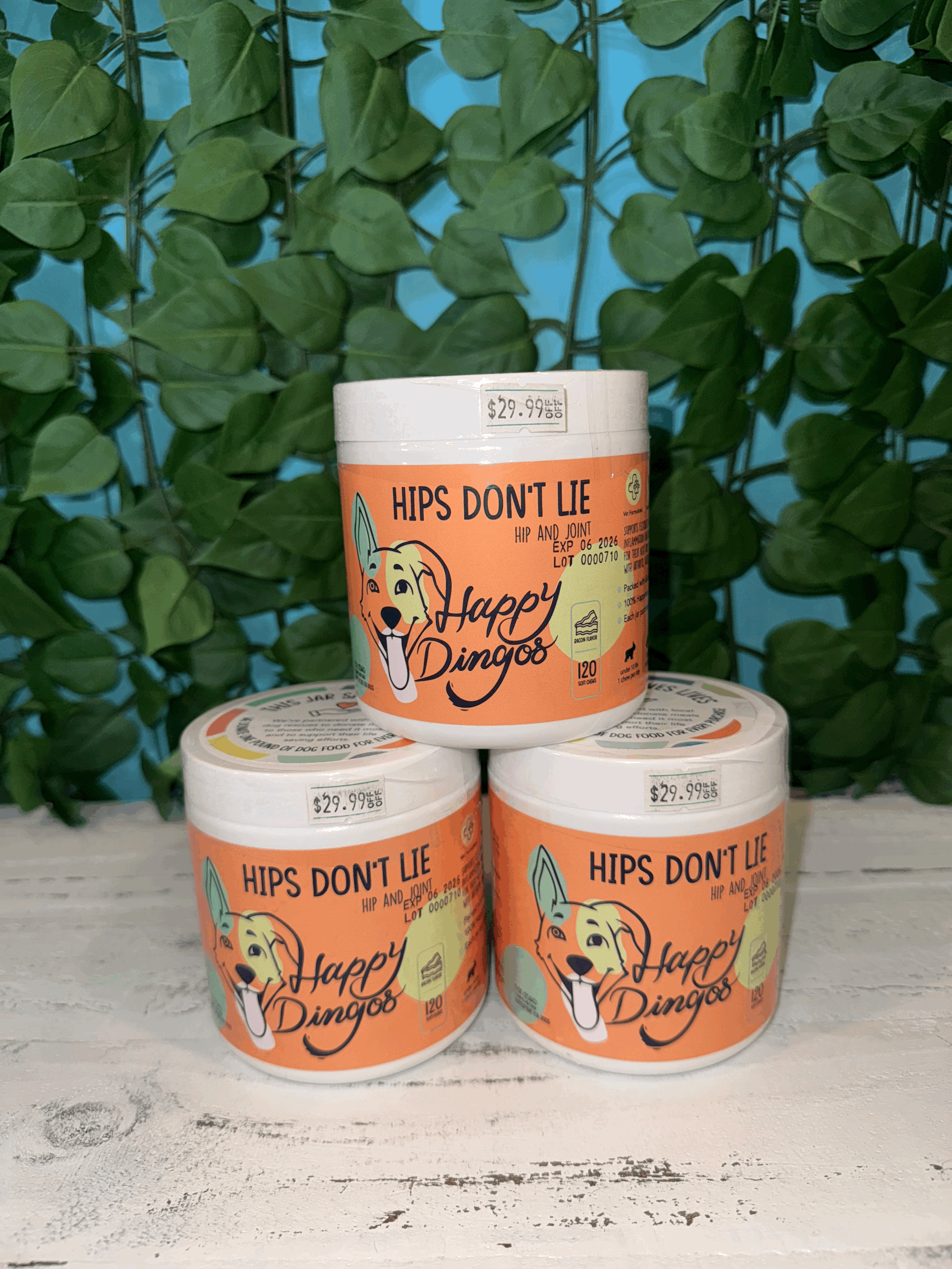 Hips Don't Lie by Happy Dingo