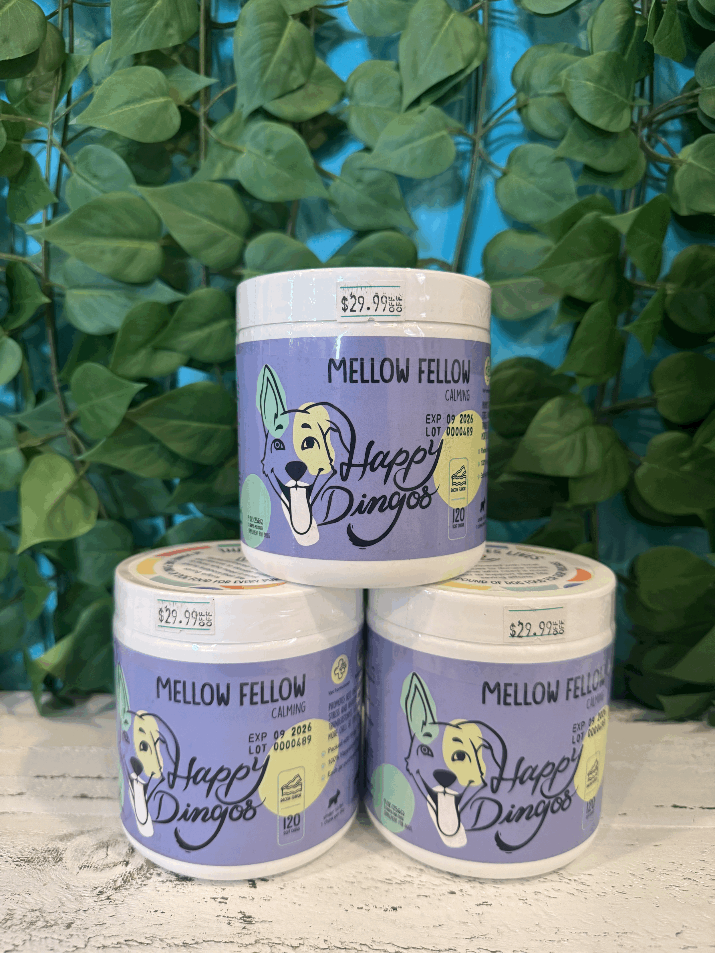 Mellow Fellow by Happy Dingo