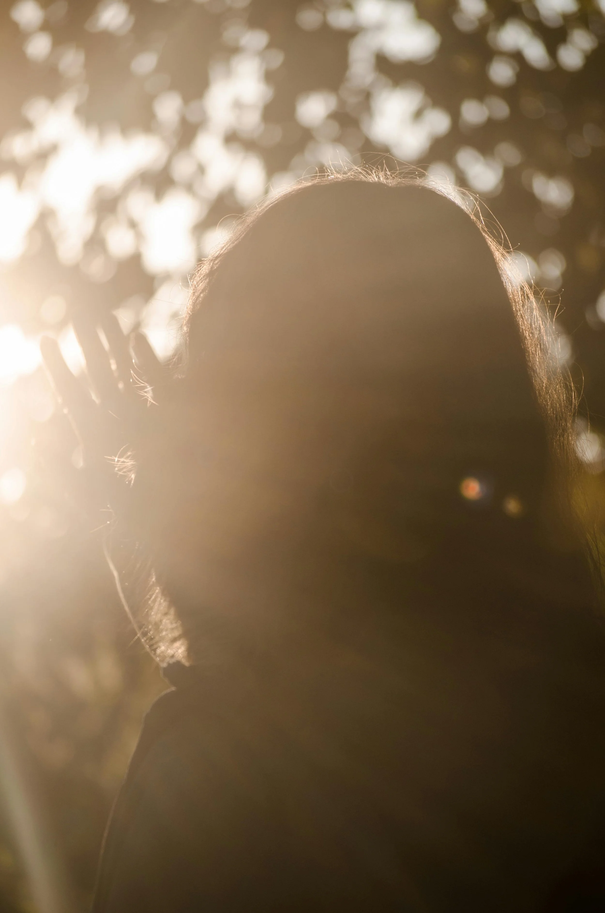 Anxiety and phobia therapy to reduce fear and avoidance