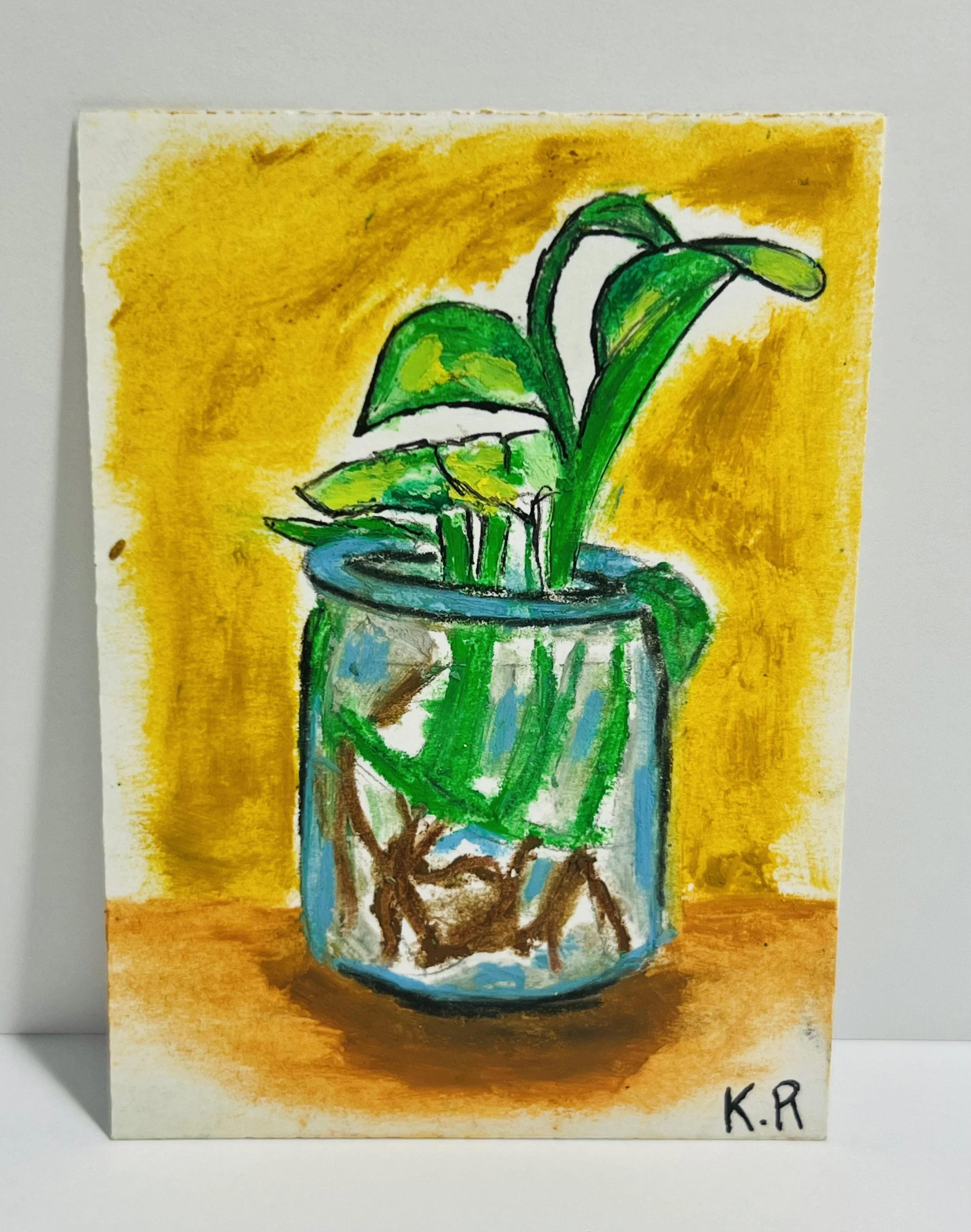 Office Plant
