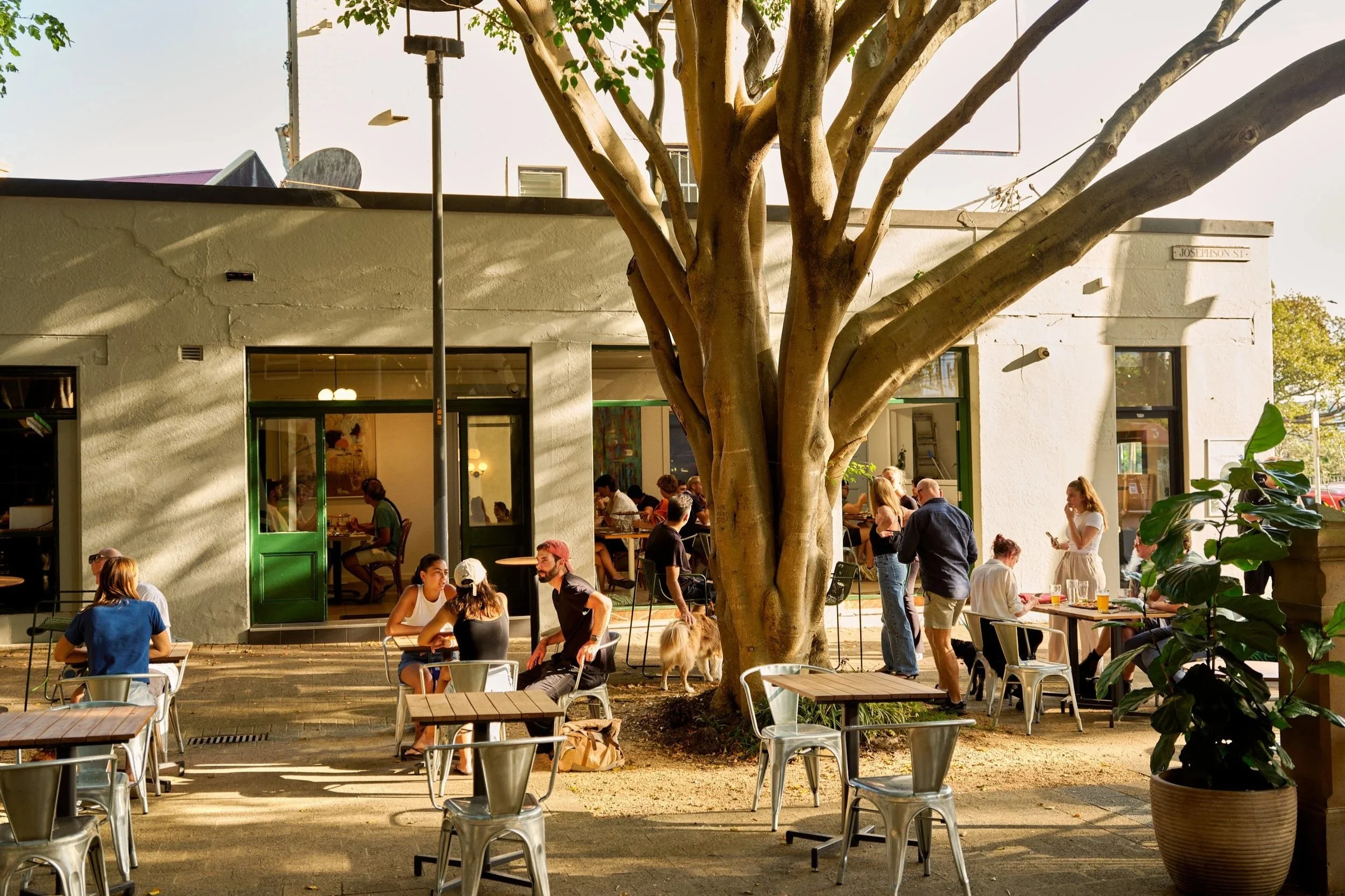 People sitting and standing outside in the beer garden of the captain cook hotel, with a large tree in the foreground, a white building with green doors and windows behind them, and sunlight casting shadows on the ground.