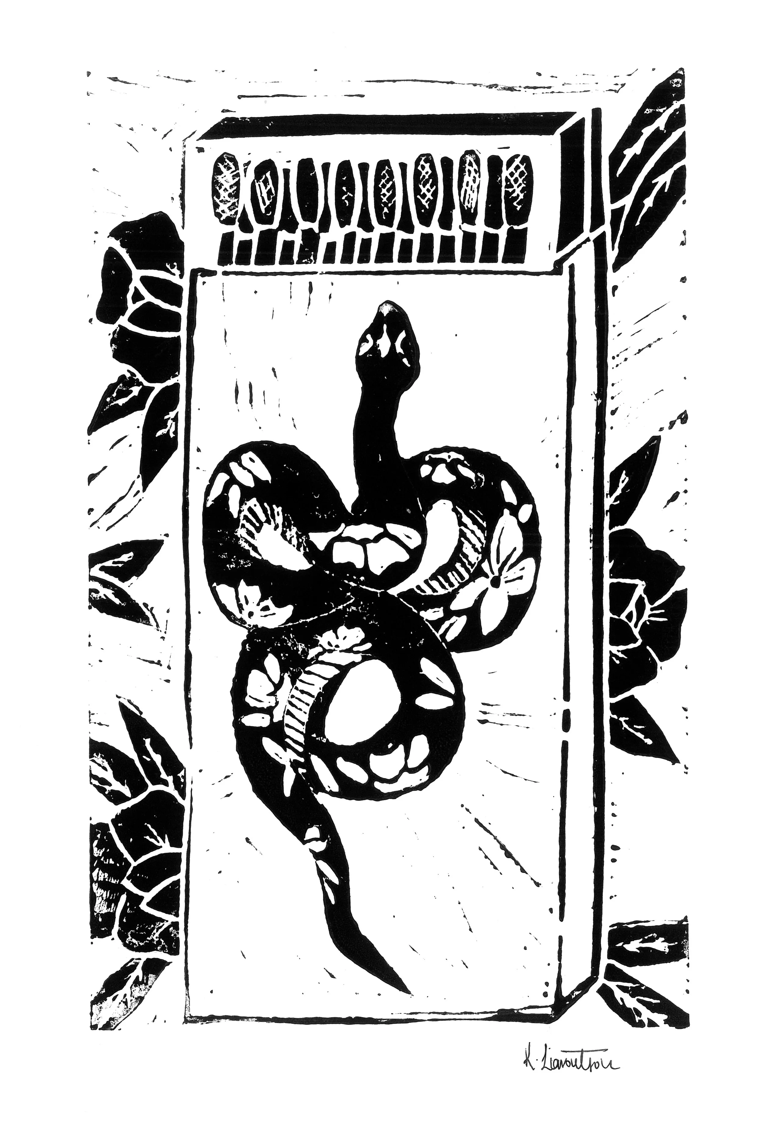 Year of the Snake