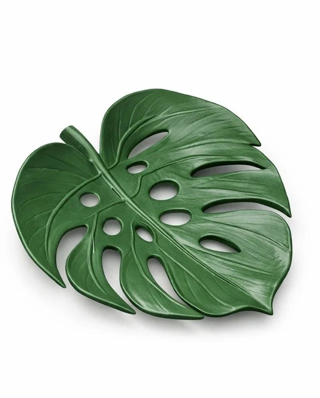 Olive Monstera leaf