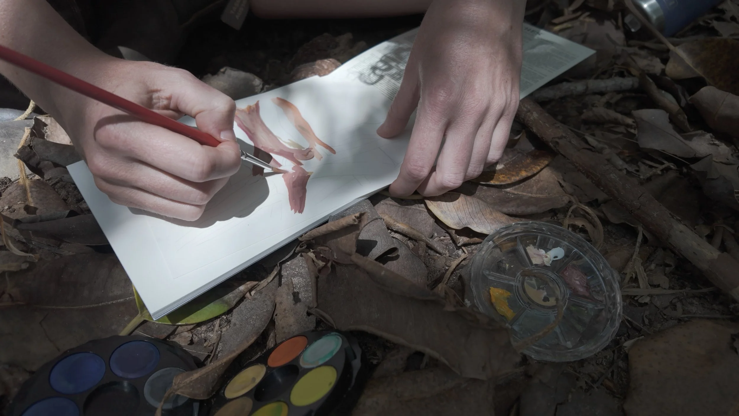 Painting on a white sketchpad with watercolors and a red brush, surrounded by dried leaves and twigs outdoors.