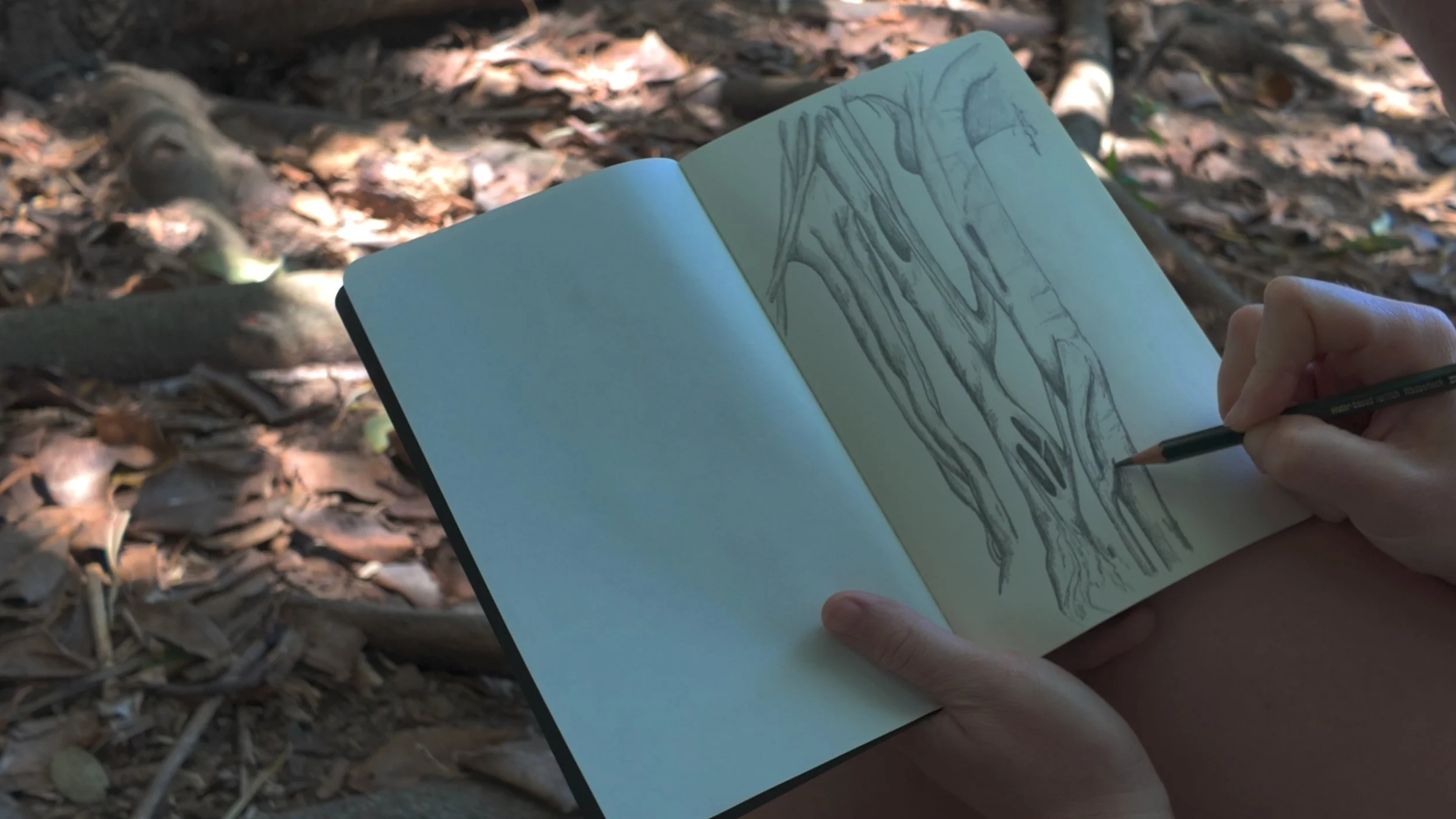 Sketching a tree trunk in a sketchbook outdoors, with dry leaves on the ground.