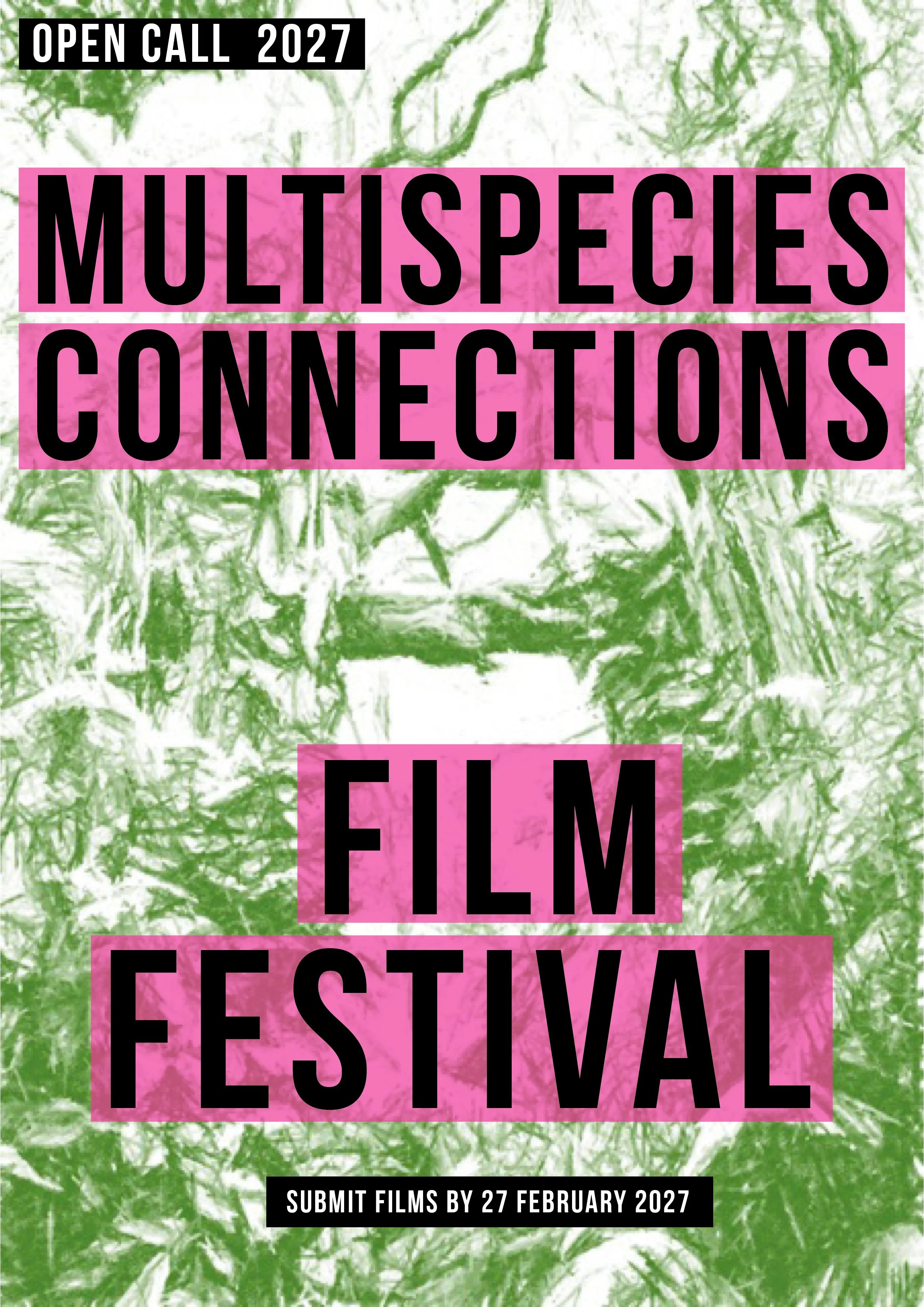 Multispecies Connections Film Festival 