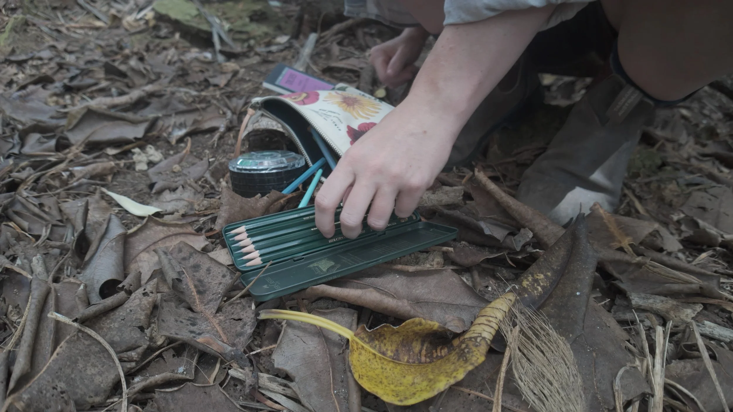 Reaching for a set of pencils in a green tin box on the ground amid dry leaves and twigs.